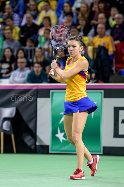 FedCup - România-Cehia - Simona Halep vs. Karolina Pliskova - 6 februarie 2016 - Sala Polivalentă, Cluj-Napoca