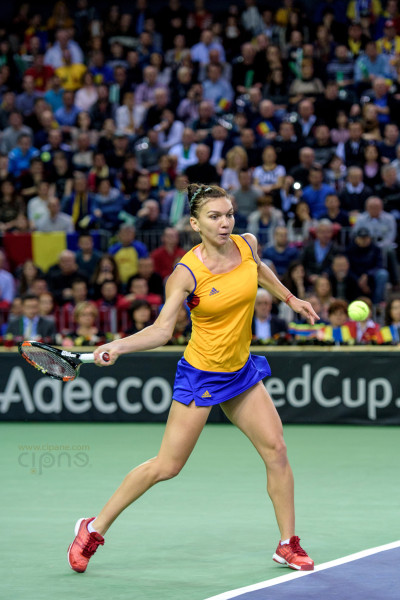 FedCup - România-Cehia - Simona Halep vs. Karolina Pliskova - 6 februarie 2016 - Sala Polivalentă, Cluj-Napoca