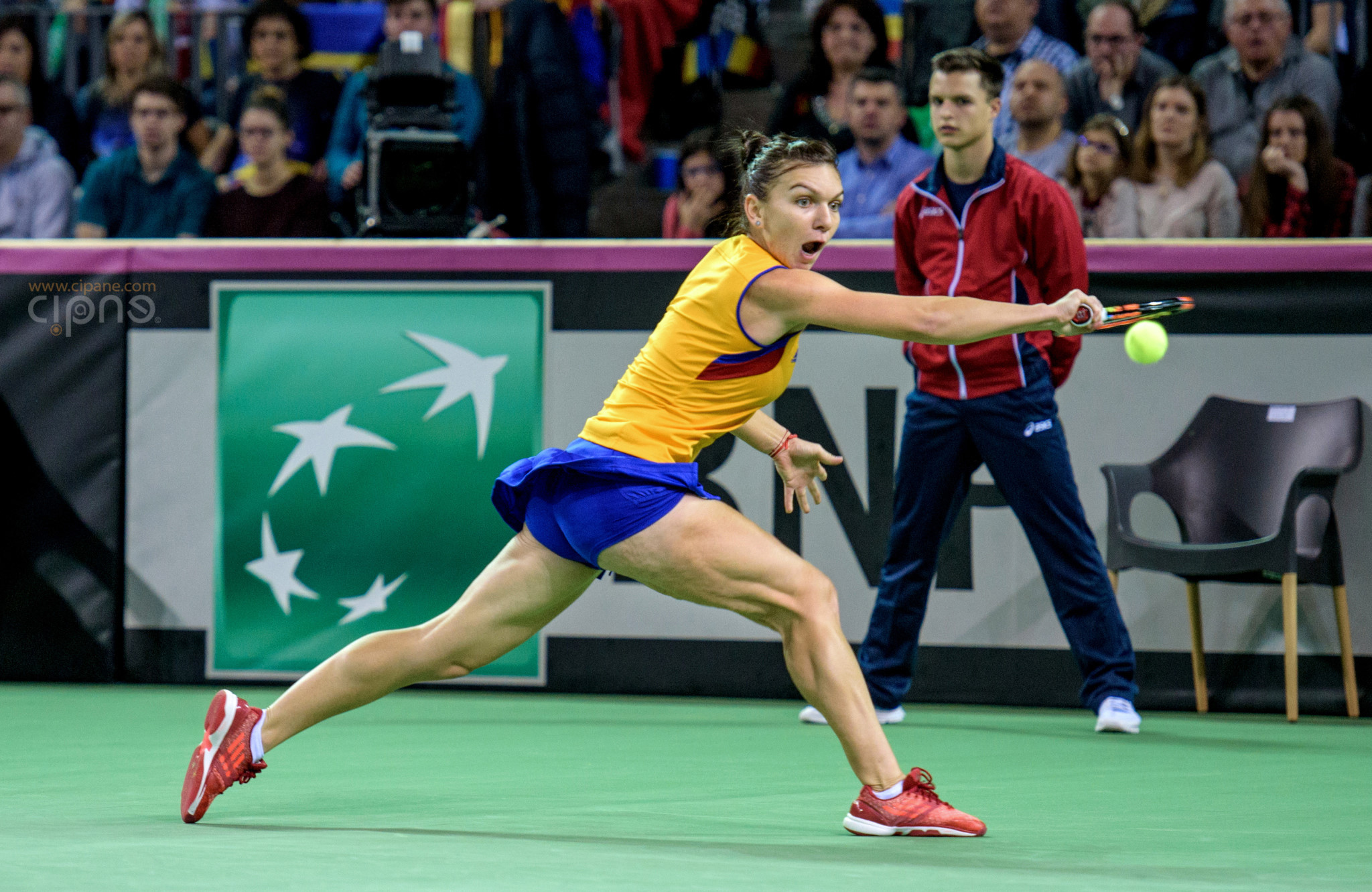 FedCup - România-Cehia - Simona Halep vs. Karolina Pliskova - 6 februarie 2016 - Sala Polivalentă, Cluj-Napoca