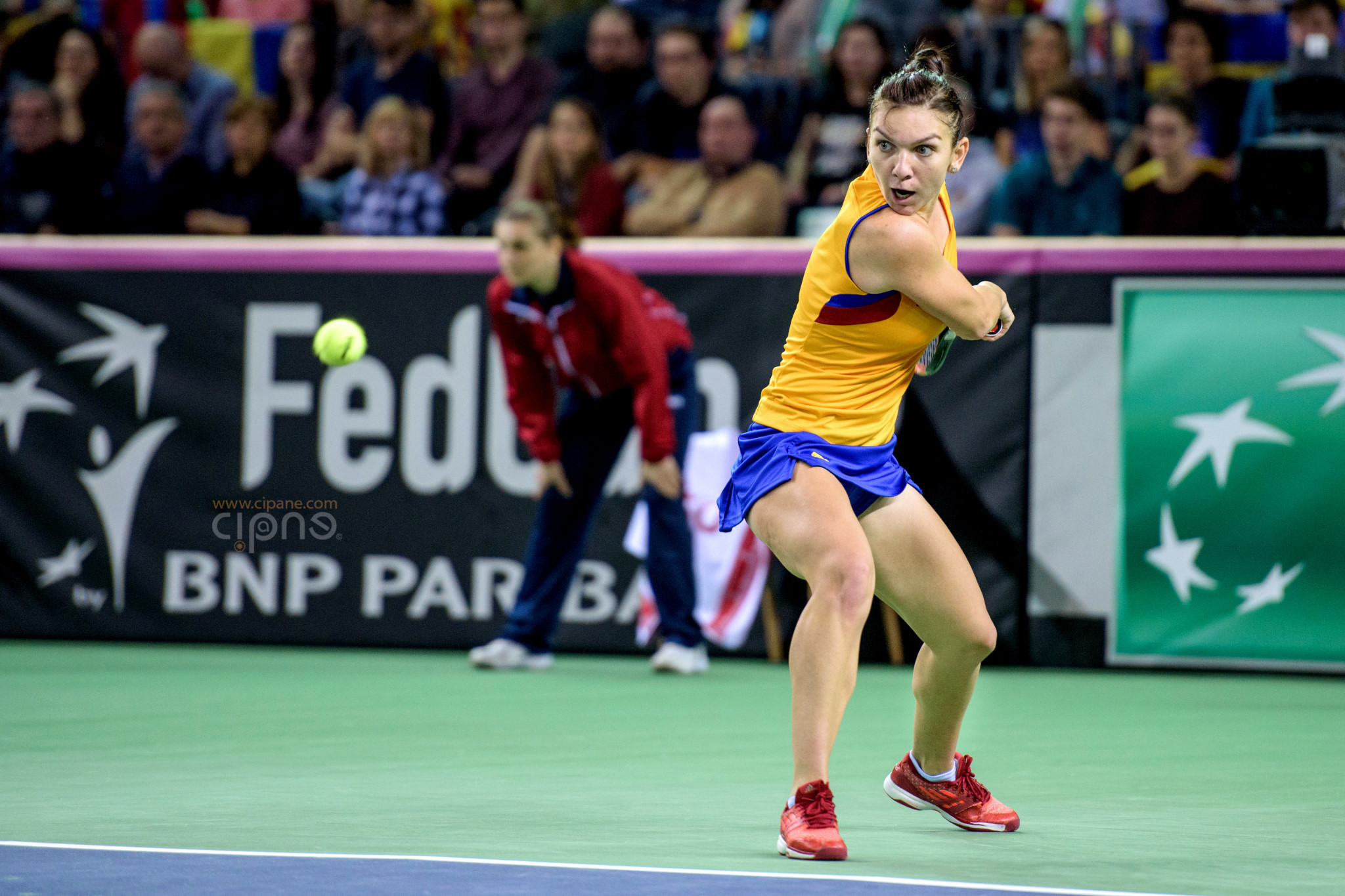FedCup - România-Cehia - Simona Halep vs. Karolina Pliskova - 6 februarie 2016 - Sala Polivalentă, Cluj-Napoca