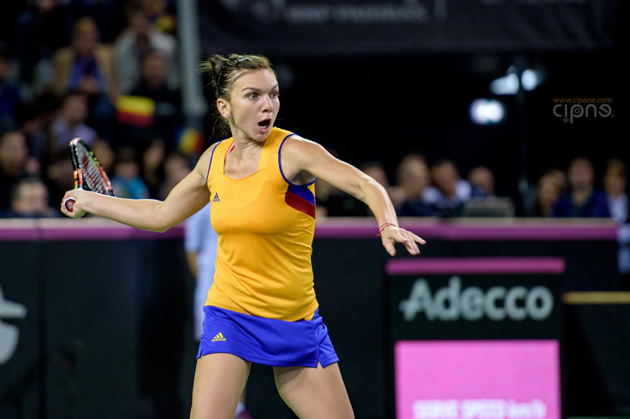 FedCup - România-Cehia - Simona Halep vs. Karolina Pliskova - 6 februarie 2016 - Sala Polivalentă, Cluj-Napoca