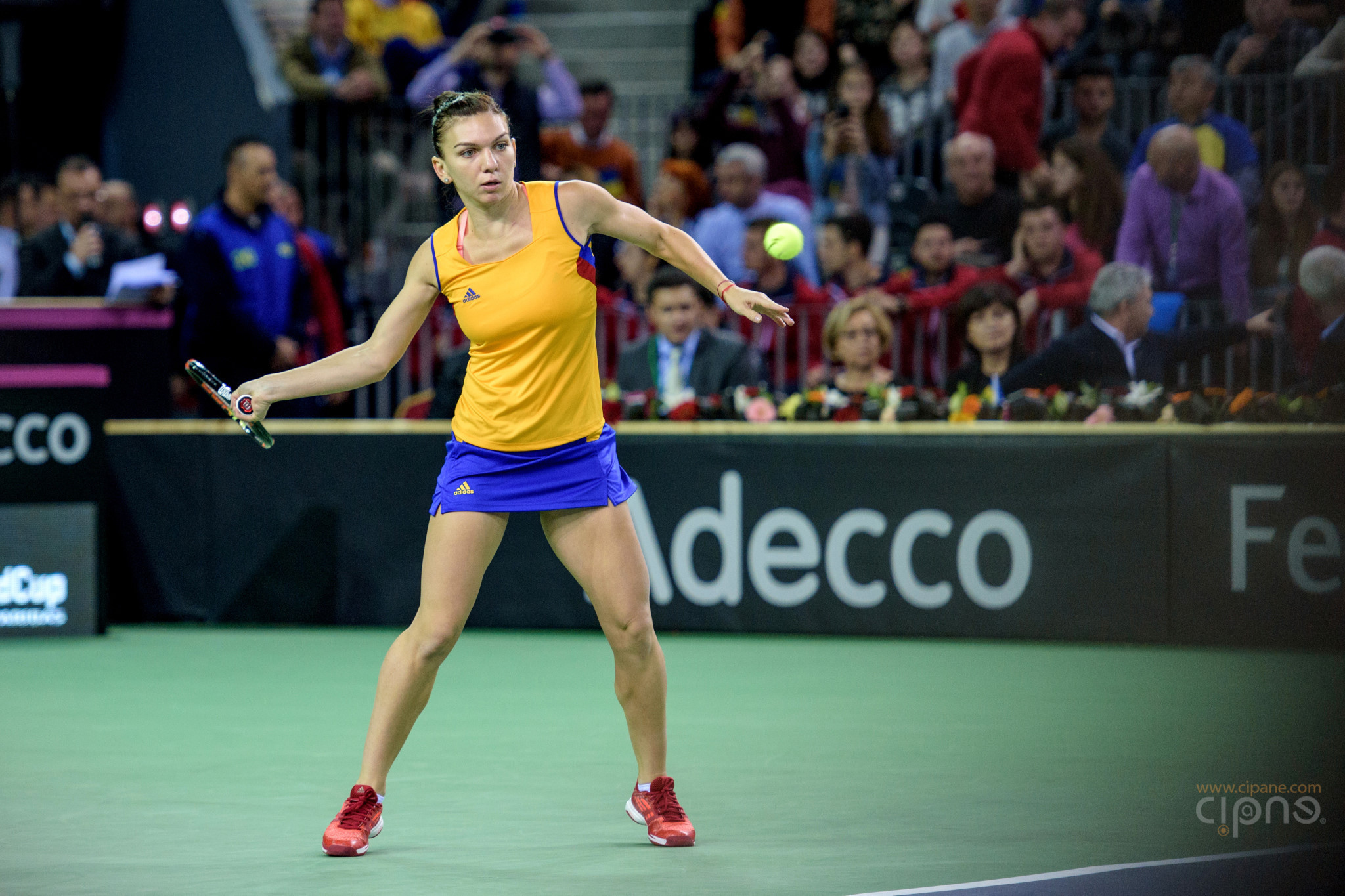 FedCup - România-Cehia - Simona Halep vs. Karolina Pliskova - 6 februarie 2016 - Sala Polivalentă, Cluj-Napoca
