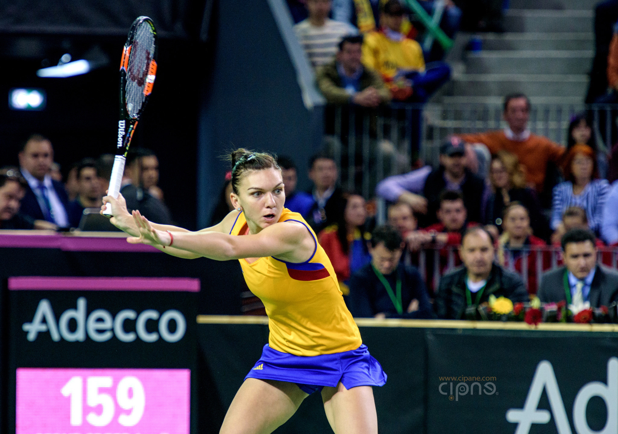FedCup - România-Cehia - Simona Halep vs. Karolina Pliskova - 6 februarie 2016 - Sala Polivalentă, Cluj-Napoca