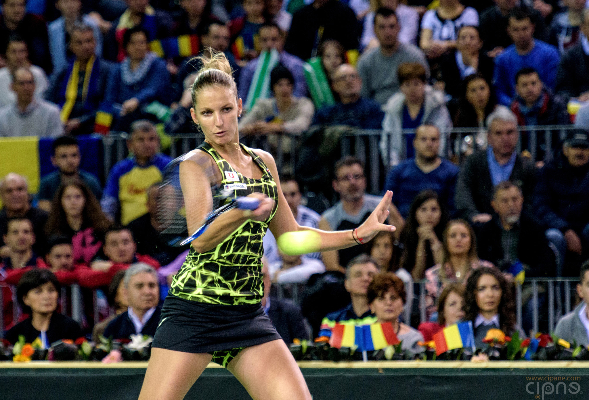 FedCup - România-Cehia - Simona Halep vs. Karolina Pliskova - 6 februarie 2016 - Sala Polivalentă, Cluj-Napoca