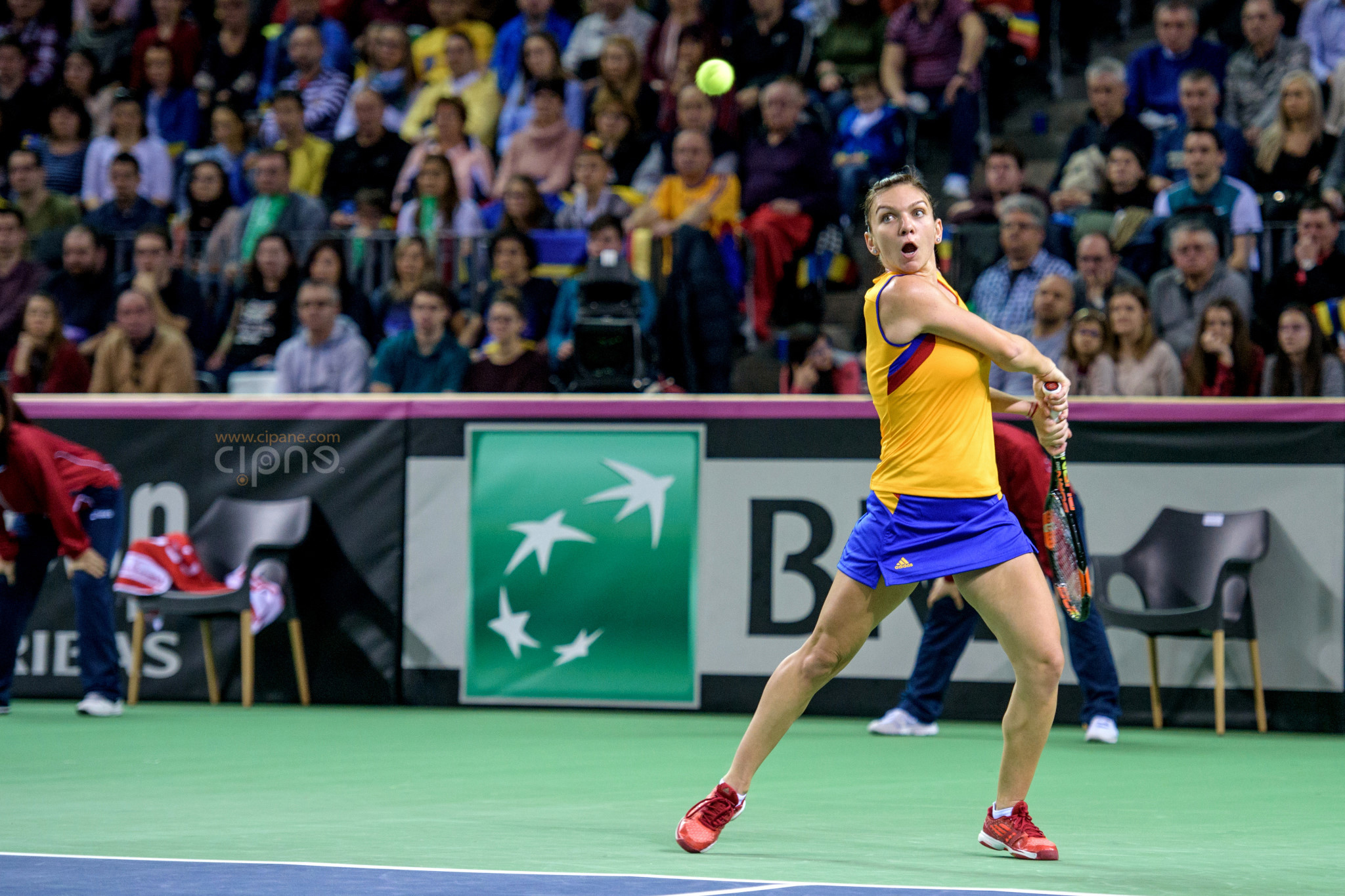 FedCup - România-Cehia - Simona Halep vs. Karolina Pliskova - 6 februarie 2016 - Sala Polivalentă, Cluj-Napoca