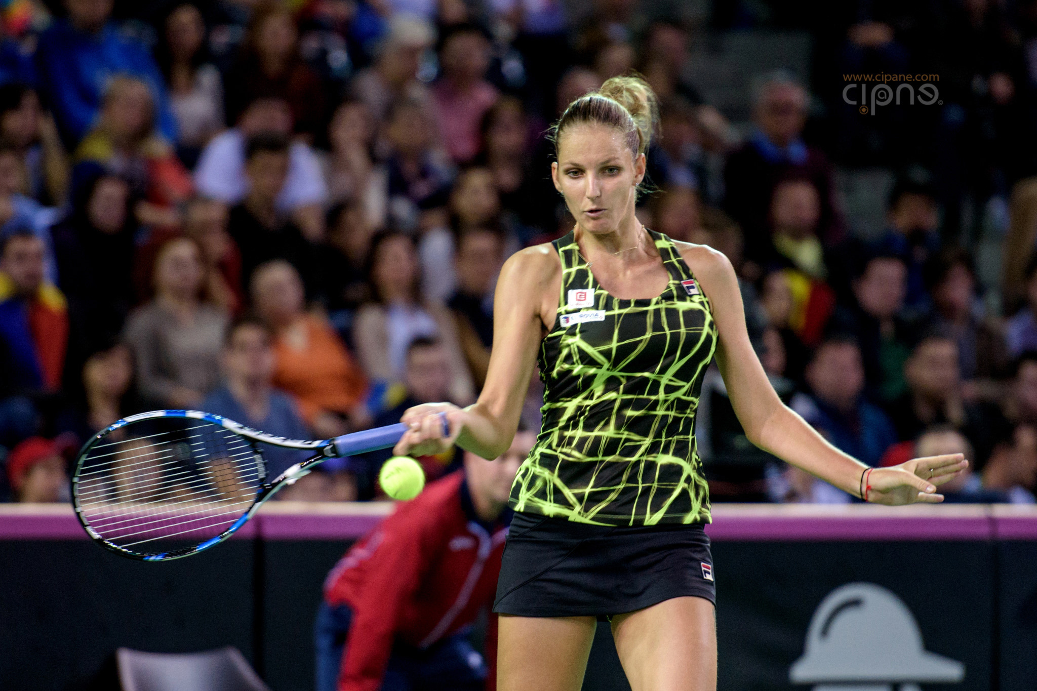 FedCup - România-Cehia - Simona Halep vs. Karolina Pliskova - 6 februarie 2016 - Sala Polivalentă, Cluj-Napoca