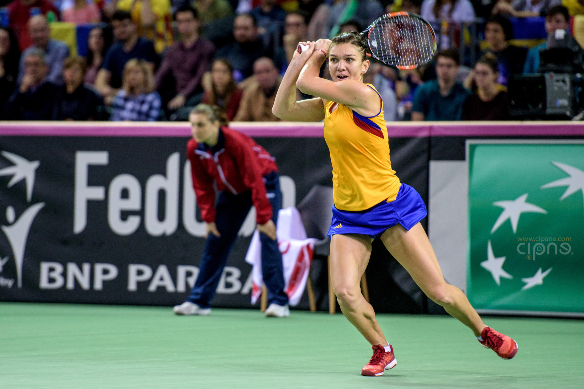 FedCup - România-Cehia - Simona Halep vs. Karolina Pliskova - 6 februarie 2016 - Sala Polivalentă, Cluj-Napoca