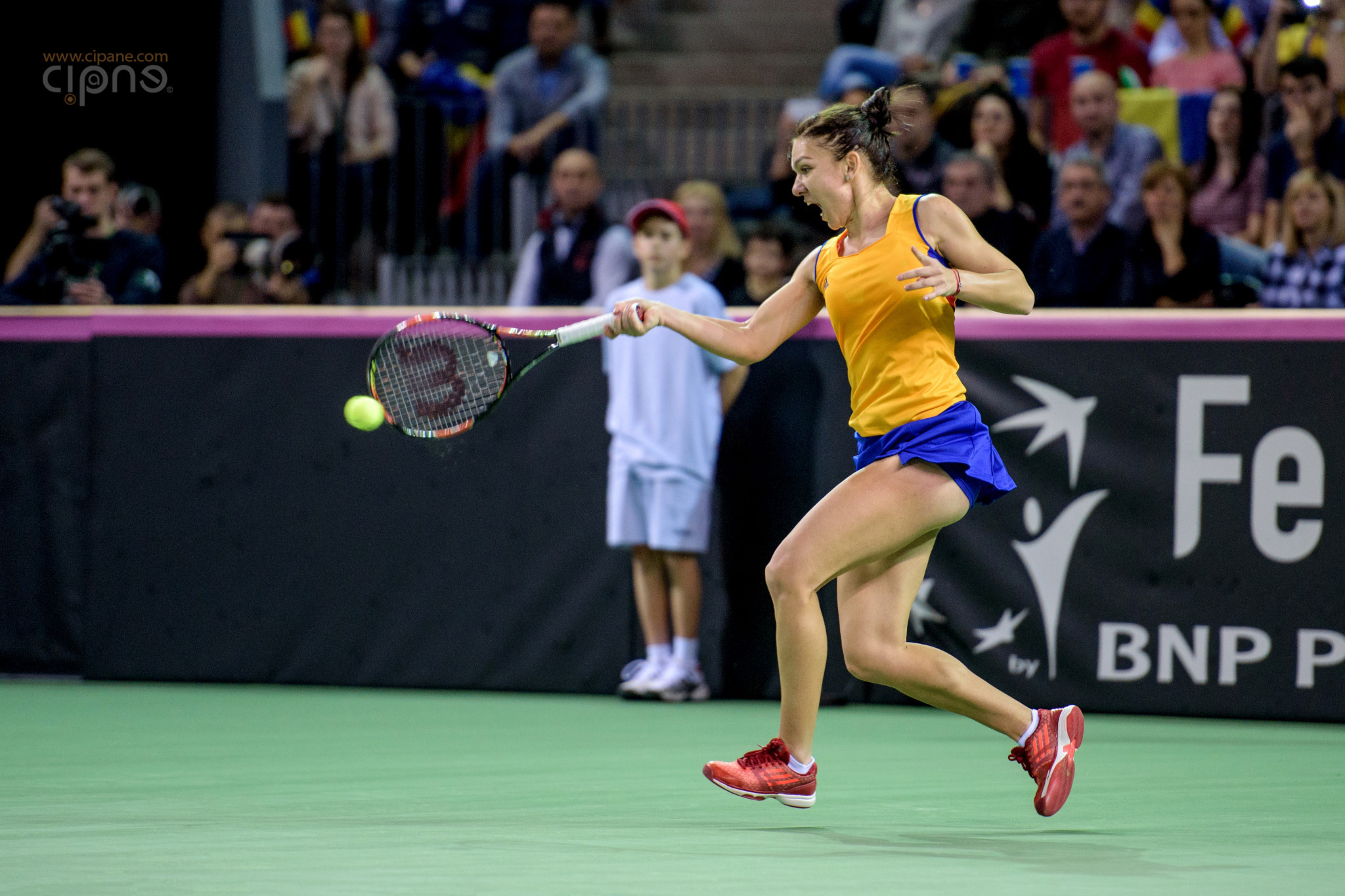 FedCup - România-Cehia - Simona Halep vs. Karolina Pliskova - 6 februarie 2016 - Sala Polivalentă, Cluj-Napoca