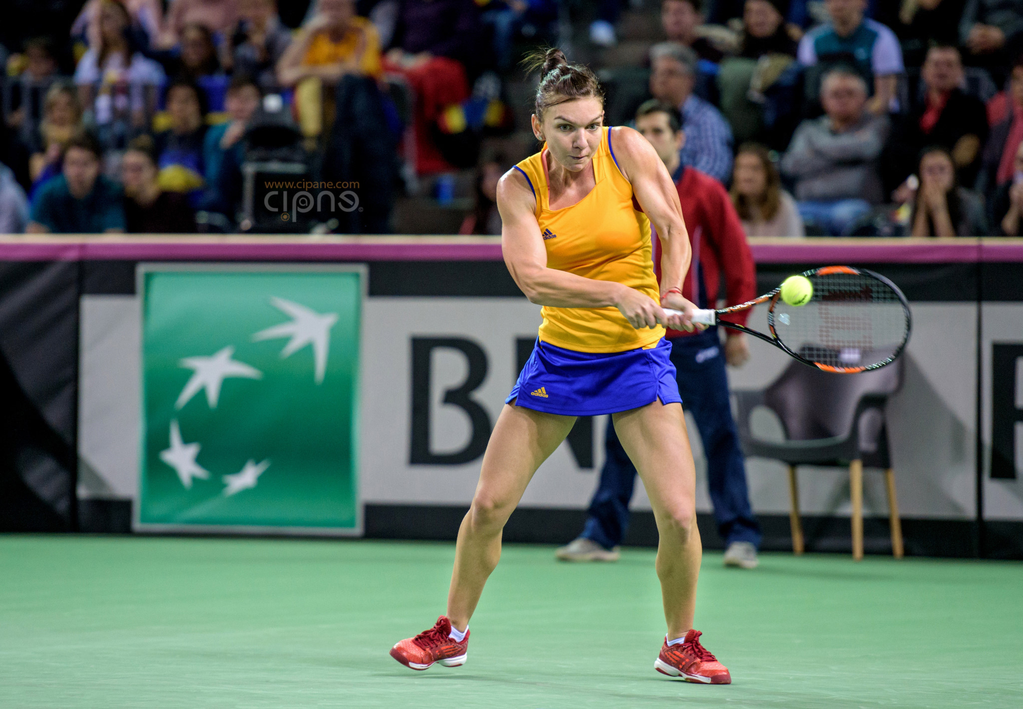 FedCup - România-Cehia - Simona Halep vs. Karolina Pliskova - 6 februarie 2016 - Sala Polivalentă, Cluj-Napoca