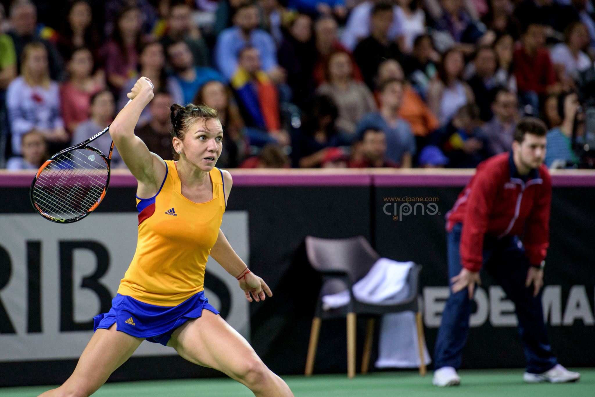 FedCup - România-Cehia - Simona Halep vs. Karolina Pliskova - 6 februarie 2016 - Sala Polivalentă, Cluj-Napoca