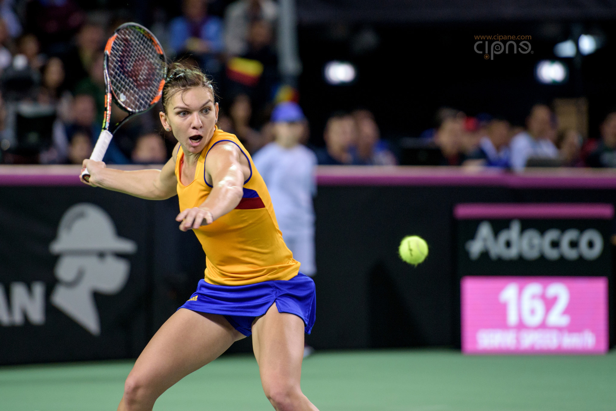 FedCup - România-Cehia - Simona Halep vs. Karolina Pliskova - 6 februarie 2016 - Sala Polivalentă, Cluj-Napoca