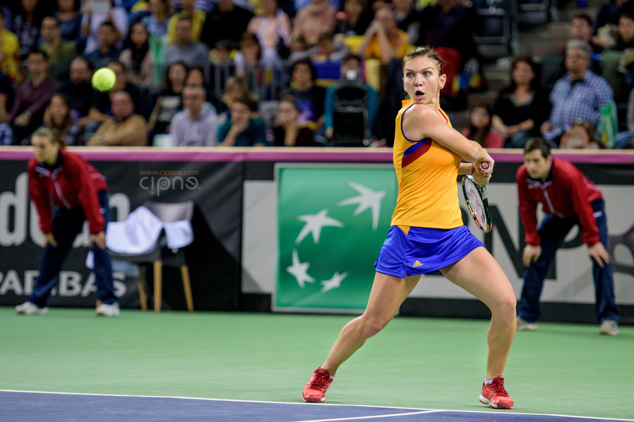 FedCup - România-Cehia - Simona Halep vs. Karolina Pliskova - 6 februarie 2016 - Sala Polivalentă, Cluj-Napoca