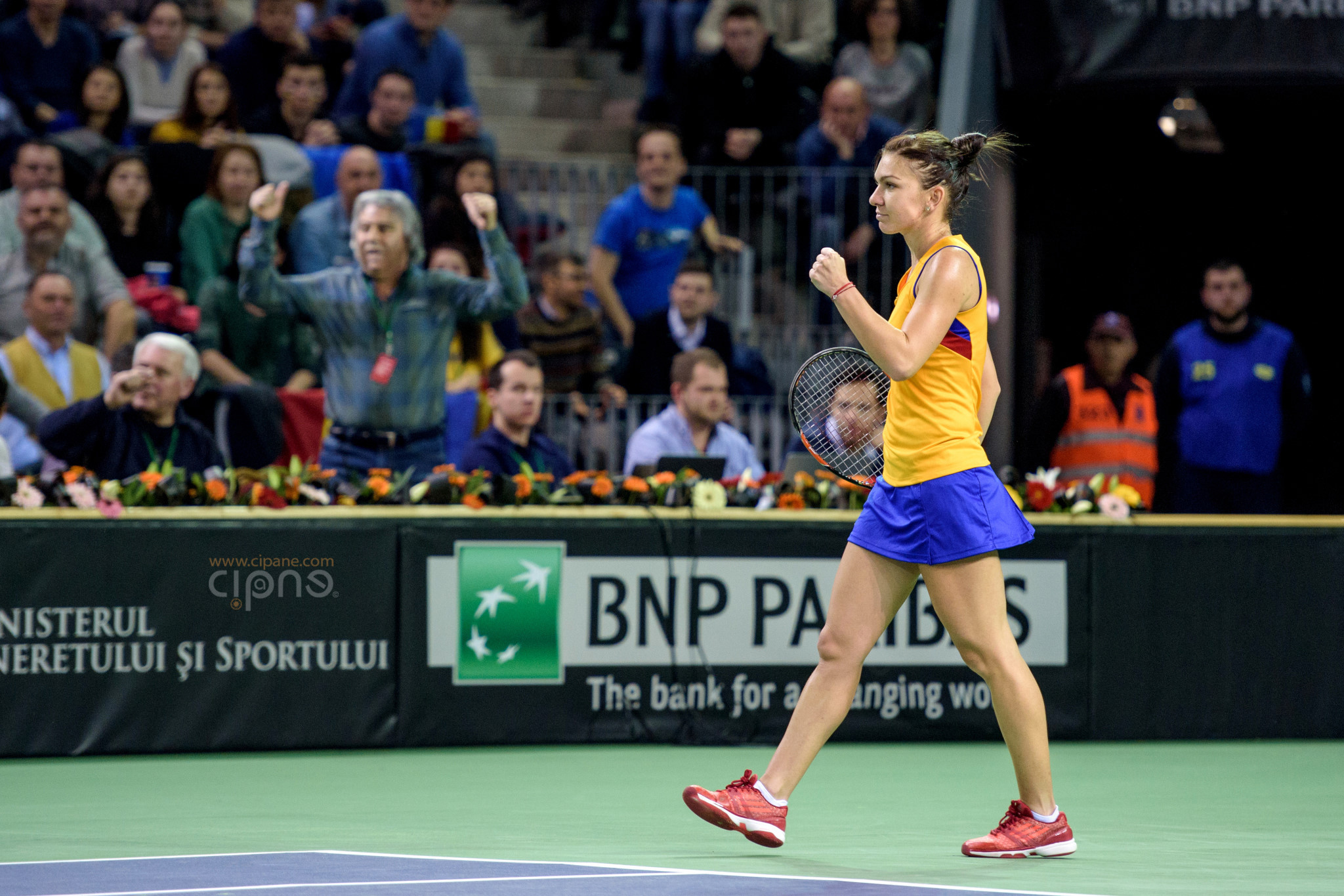 FedCup - România-Cehia - Simona Halep vs. Karolina Pliskova - 6 februarie 2016 - Sala Polivalentă, Cluj-Napoca