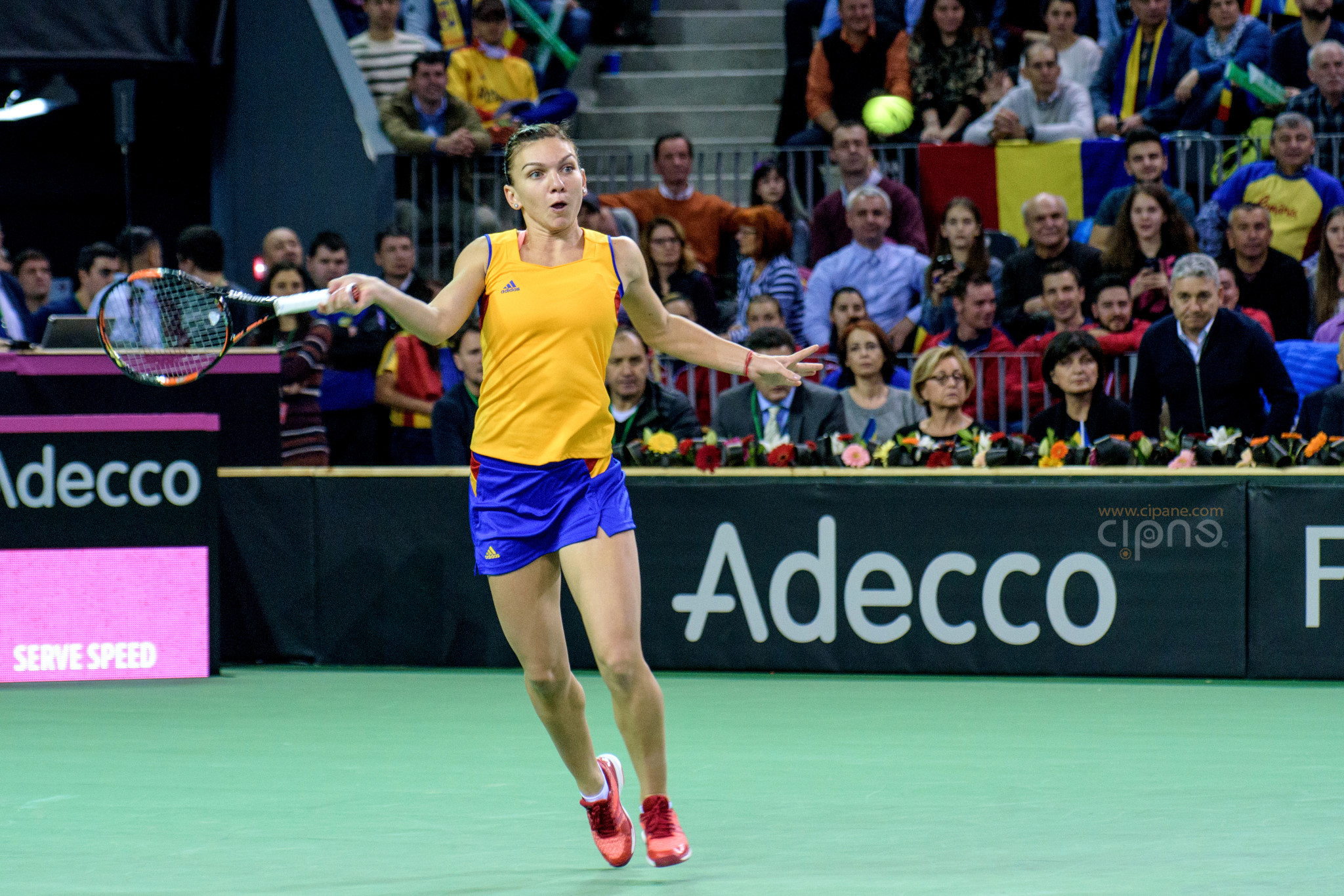 FedCup - România-Cehia - Simona Halep vs. Karolina Pliskova - 6 februarie 2016 - Sala Polivalentă, Cluj-Napoca