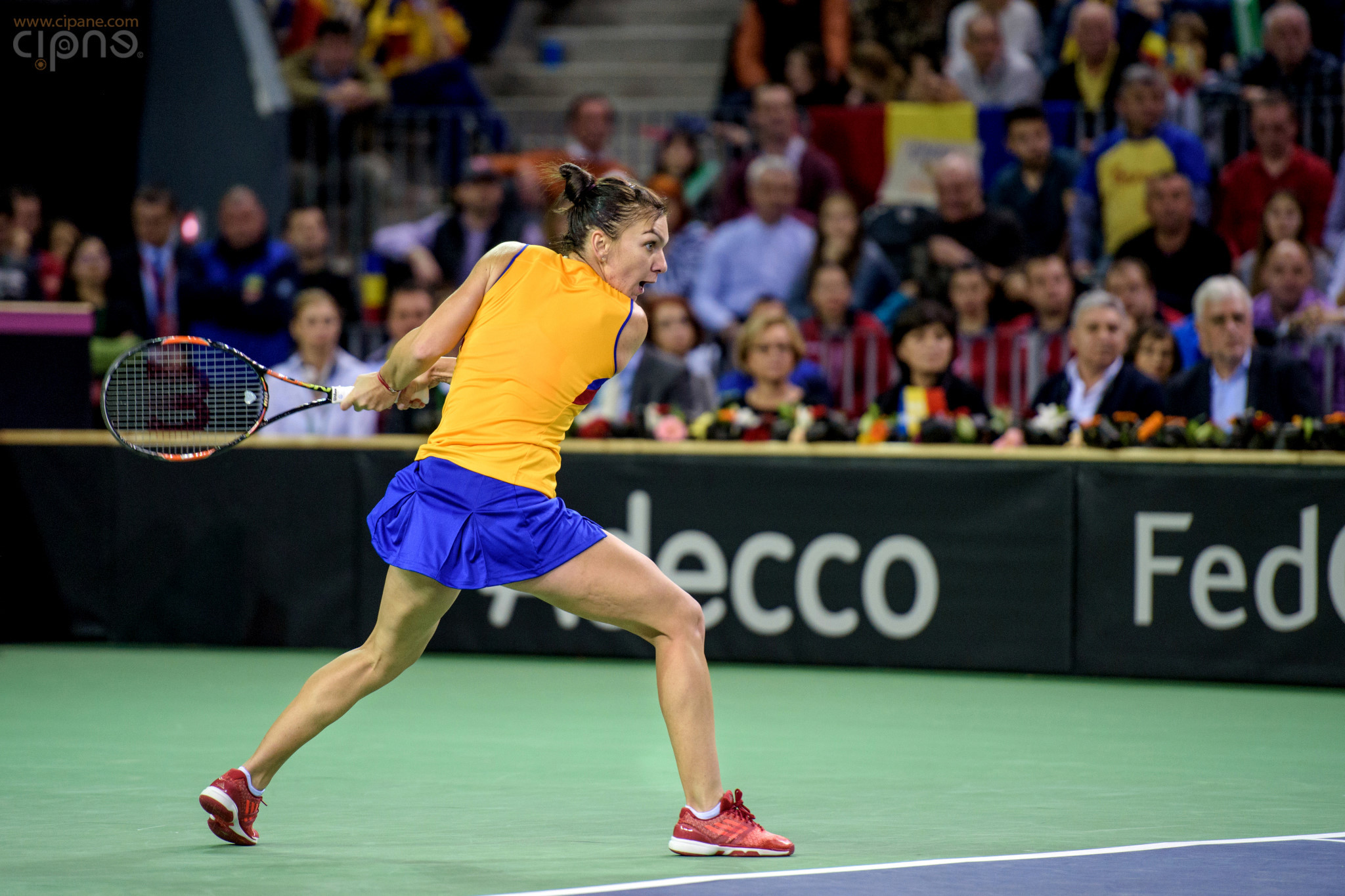 FedCup - România-Cehia - Simona Halep vs. Karolina Pliskova - 6 februarie 2016 - Sala Polivalentă, Cluj-Napoca
