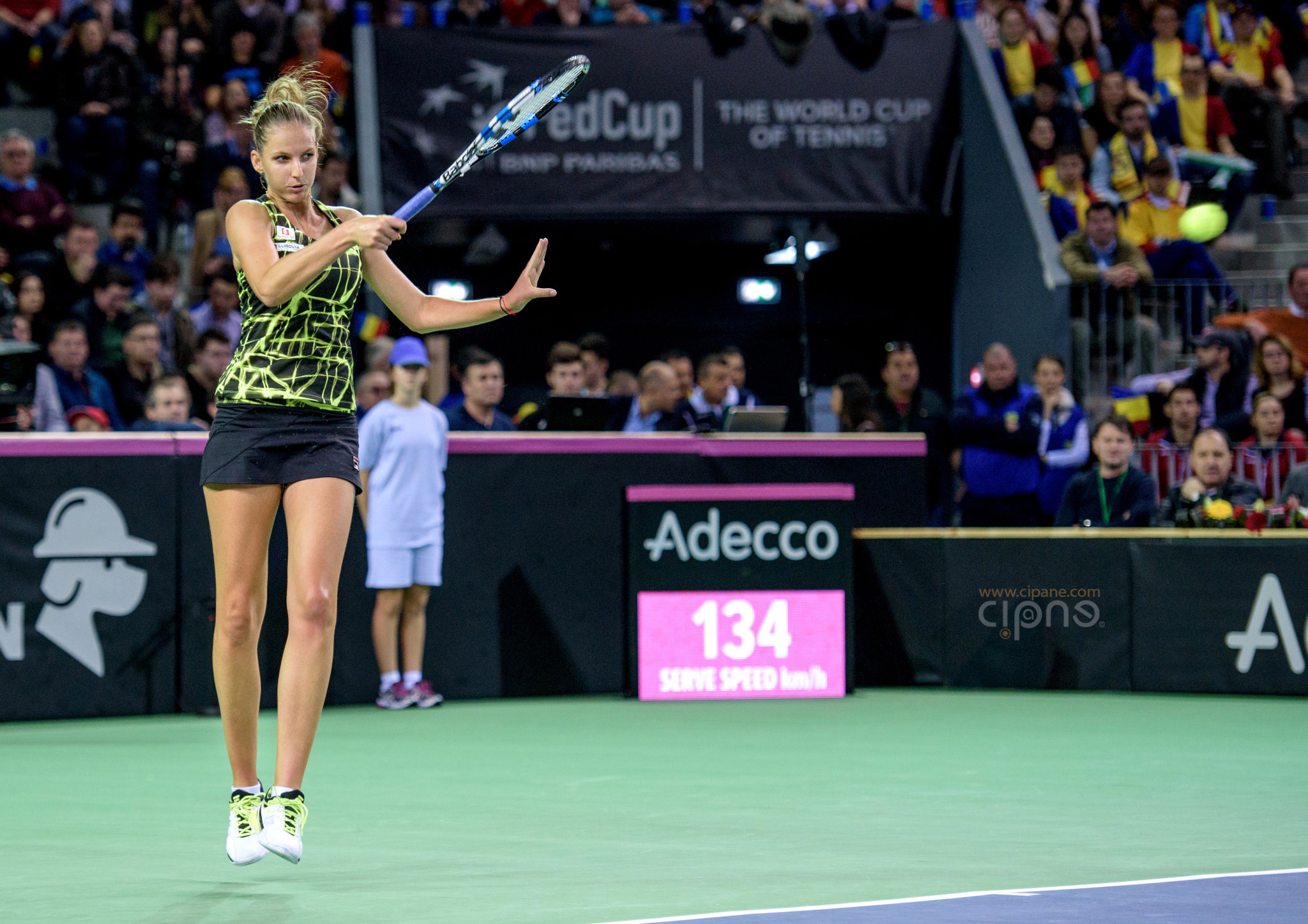FedCup - România-Cehia - Simona Halep vs. Karolina Pliskova - 6 februarie 2016 - Sala Polivalentă, Cluj-Napoca