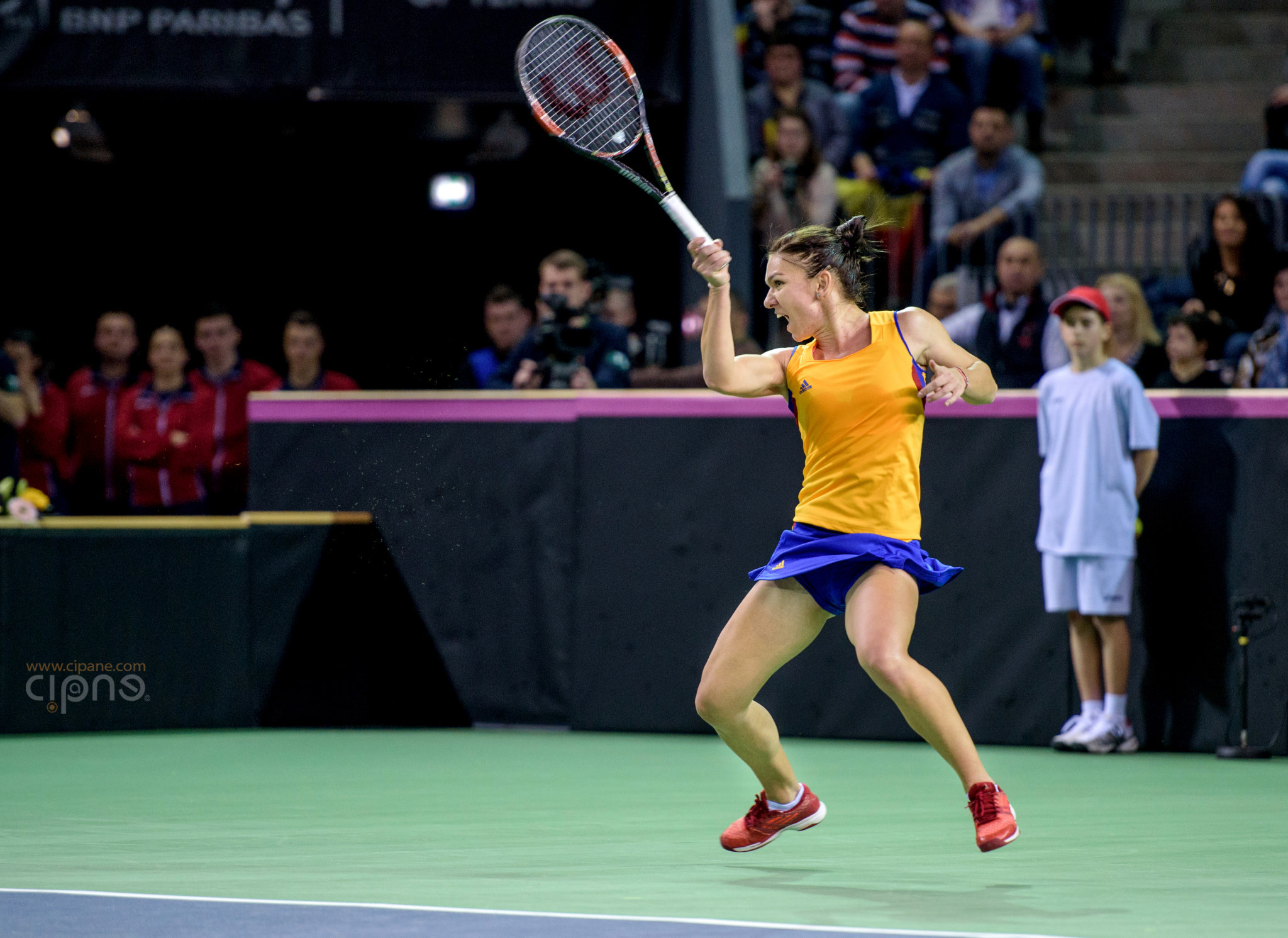 FedCup - România-Cehia - Simona Halep vs. Karolina Pliskova - 6 februarie 2016 - Sala Polivalentă, Cluj-Napoca