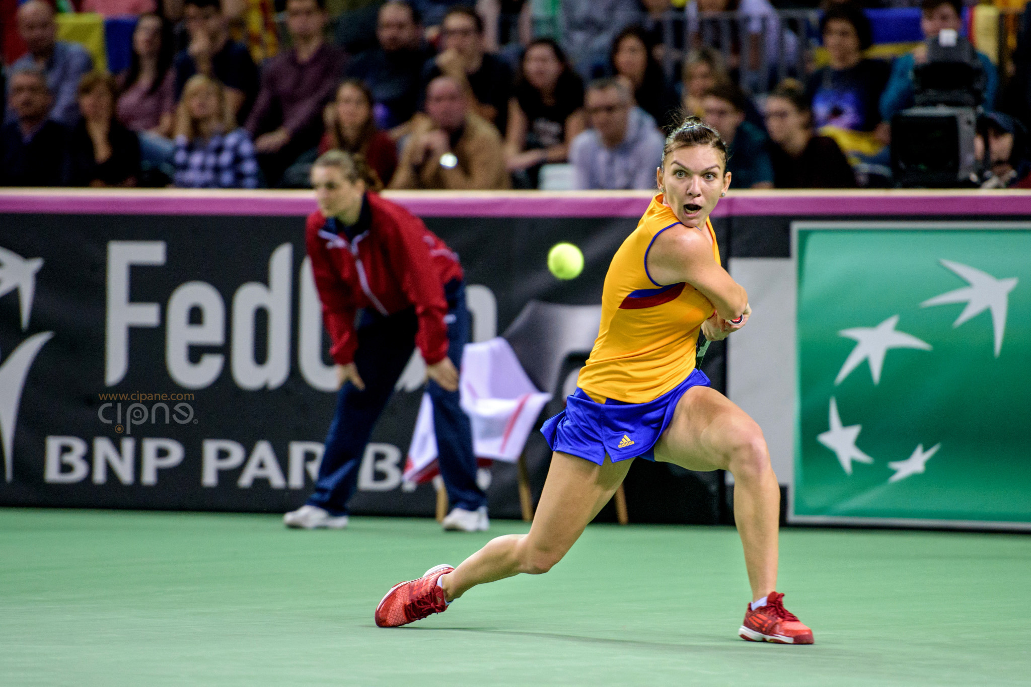 FedCup - România-Cehia - Simona Halep vs. Karolina Pliskova - 6 februarie 2016 - Sala Polivalentă, Cluj-Napoca