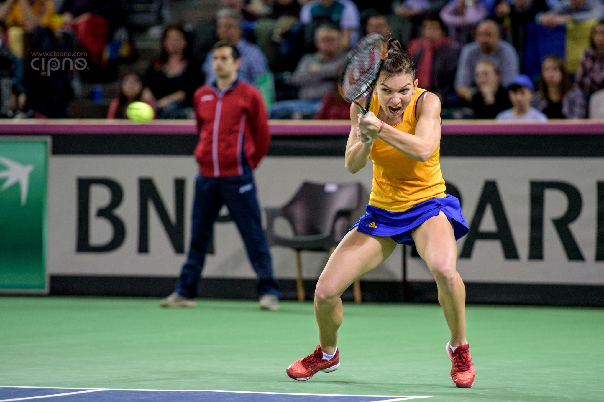 FedCup - România-Cehia - Simona Halep vs. Karolina Pliskova - 6 februarie 2016 - Sala Polivalentă, Cluj-Napoca