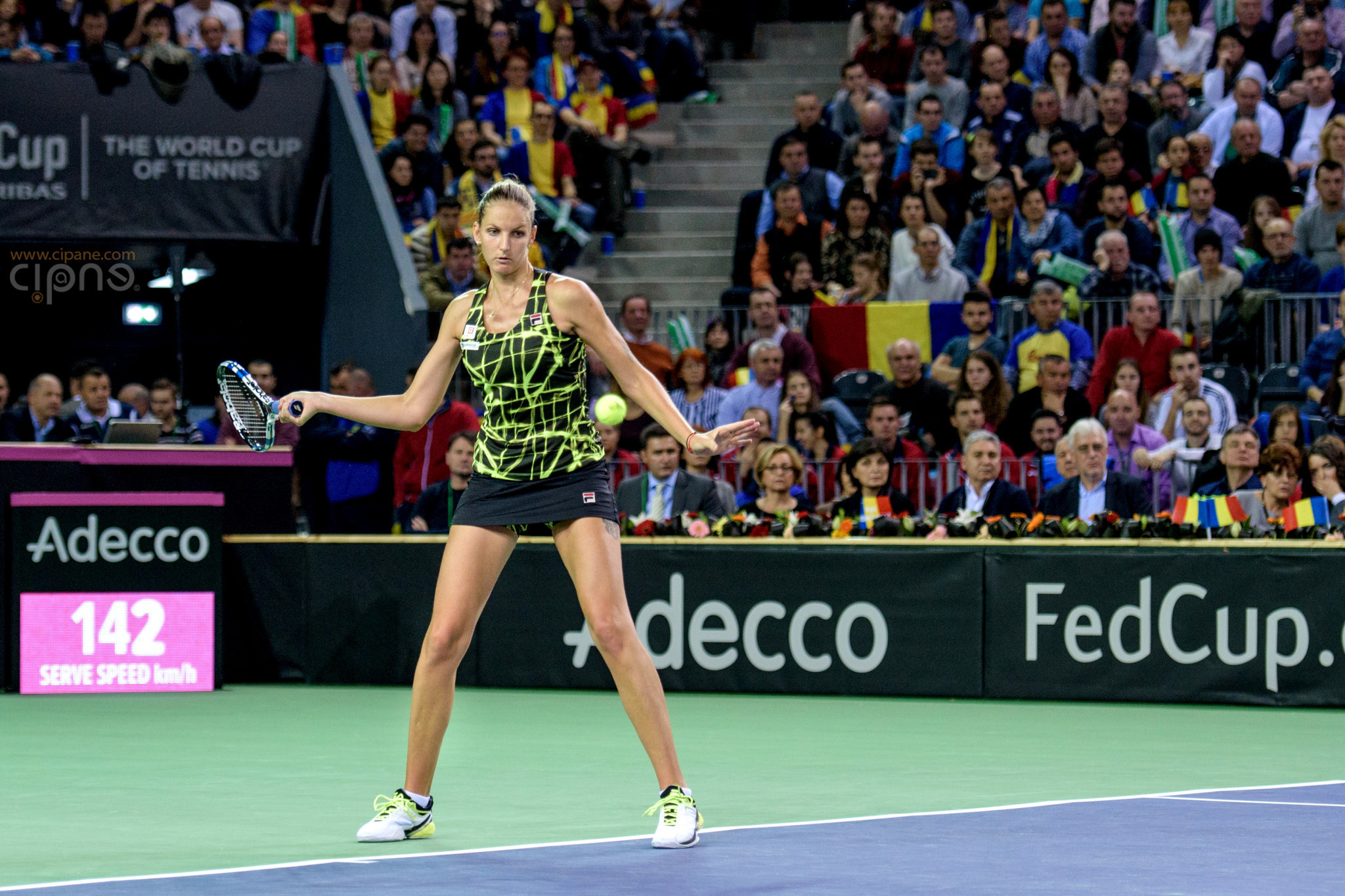FedCup - România-Cehia - Simona Halep vs. Karolina Pliskova - 6 februarie 2016 - Sala Polivalentă, Cluj-Napoca