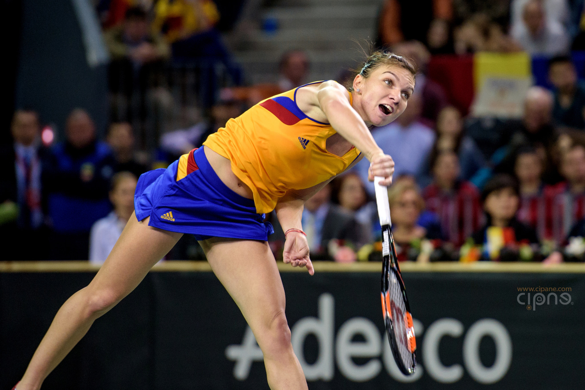 FedCup - România-Cehia - Simona Halep vs. Karolina Pliskova - 6 februarie 2016 - Sala Polivalentă, Cluj-Napoca