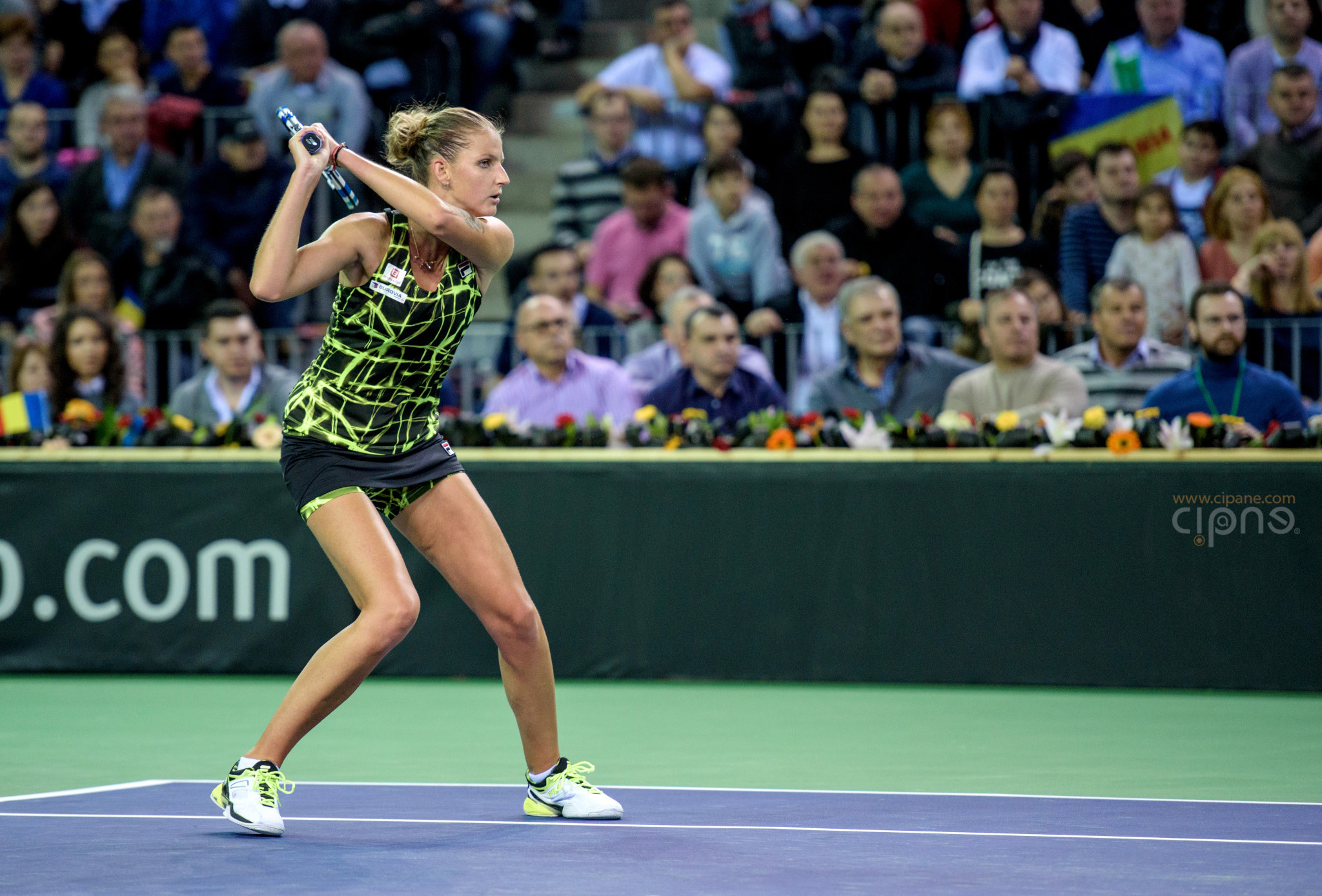 FedCup - România-Cehia - Simona Halep vs. Karolina Pliskova - 6 februarie 2016 - Sala Polivalentă, Cluj-Napoca