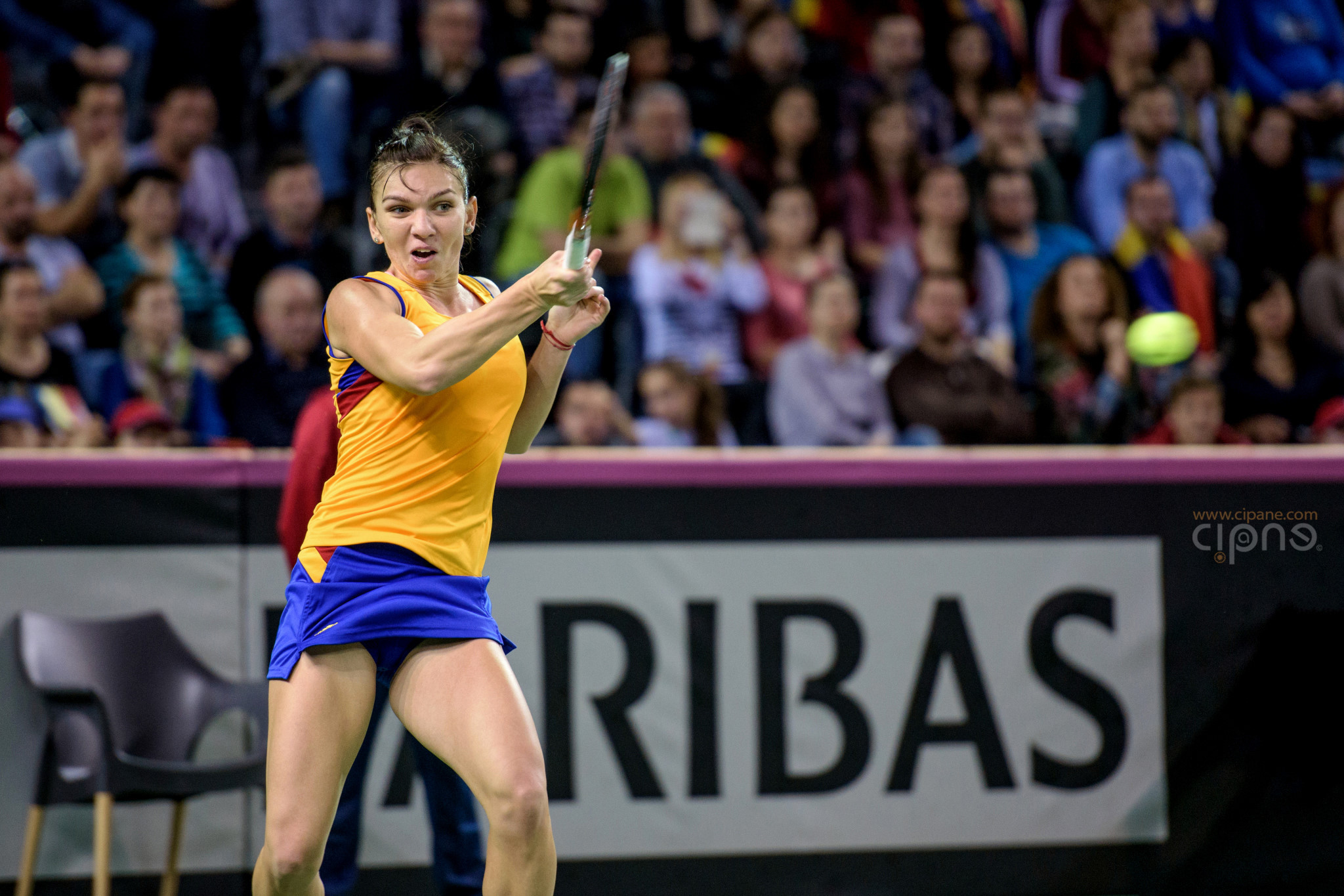 FedCup - România-Cehia - Simona Halep vs. Karolina Pliskova - 6 februarie 2016 - Sala Polivalentă, Cluj-Napoca