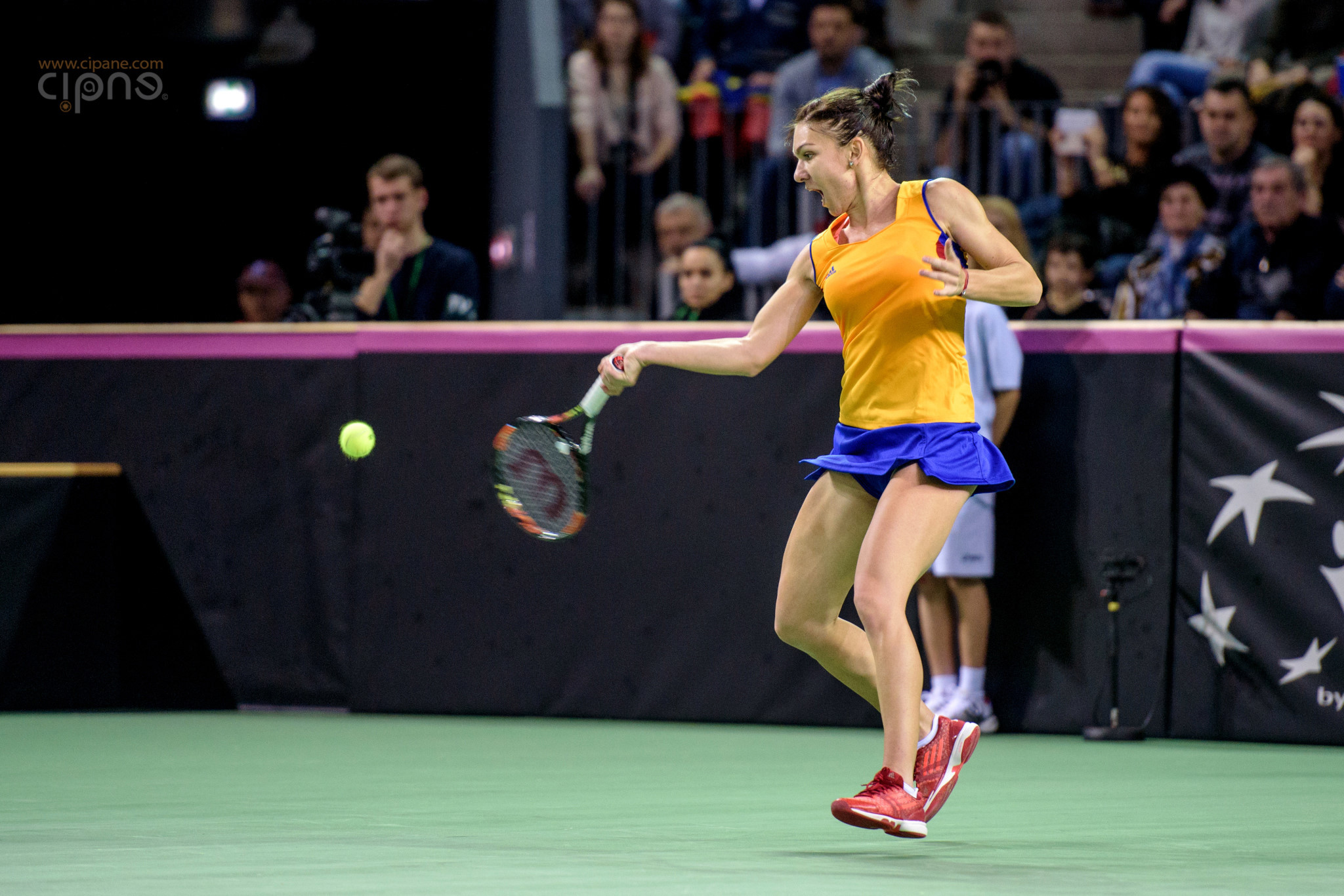 FedCup - România-Cehia - Simona Halep vs. Karolina Pliskova - 6 februarie 2016 - Sala Polivalentă, Cluj-Napoca