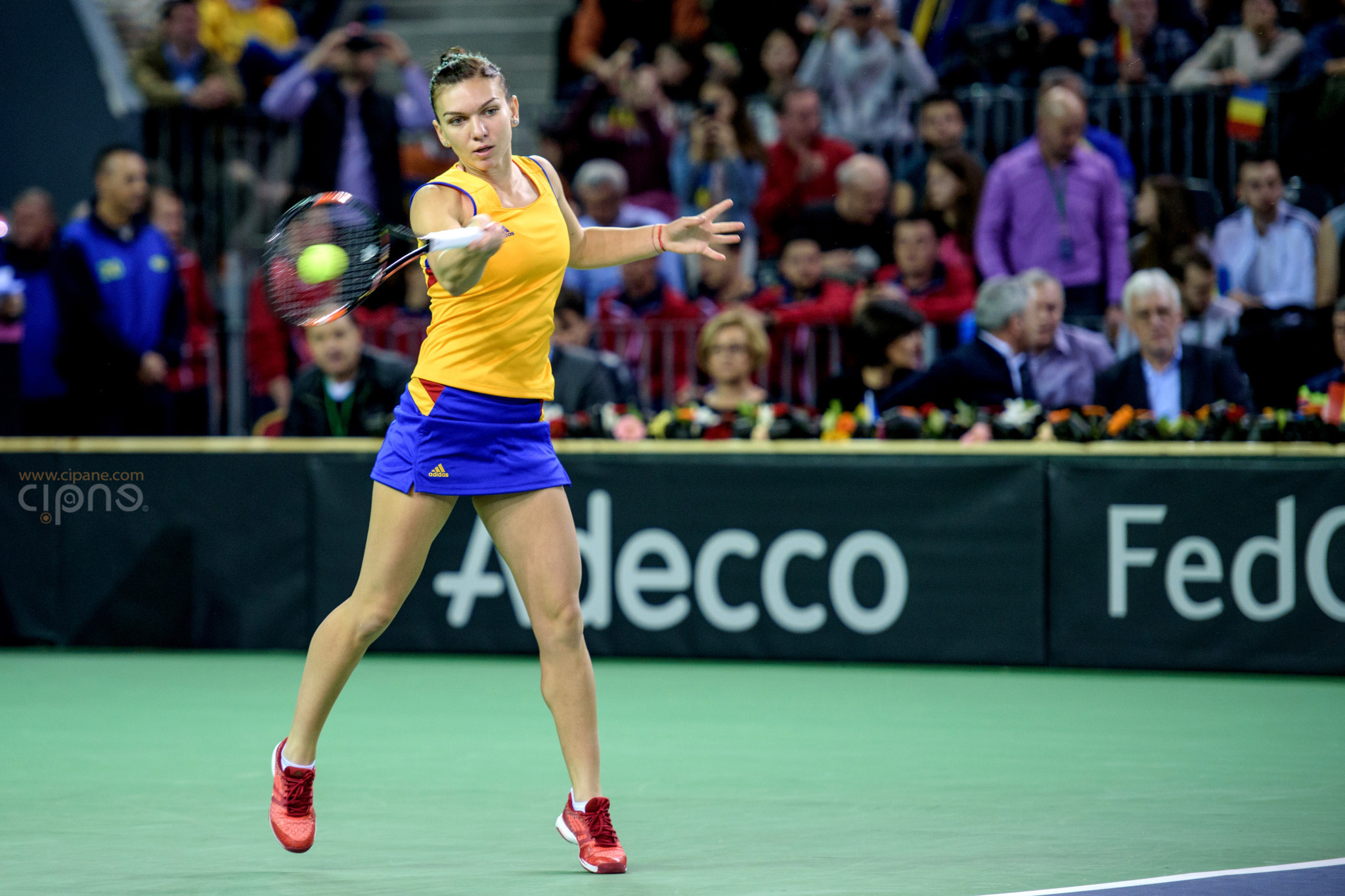 FedCup - România-Cehia - Simona Halep vs. Karolina Pliskova - 6 februarie 2016 - Sala Polivalentă, Cluj-Napoca