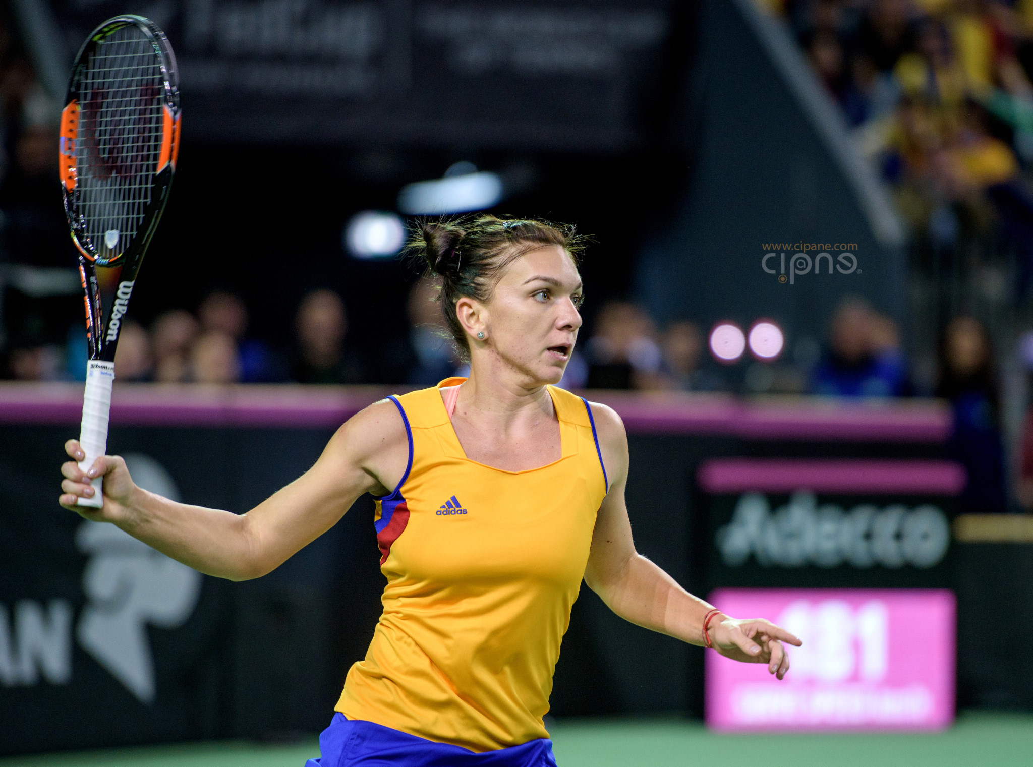 FedCup - România-Cehia - Simona Halep vs. Karolina Pliskova - 6 februarie 2016 - Sala Polivalentă, Cluj-Napoca