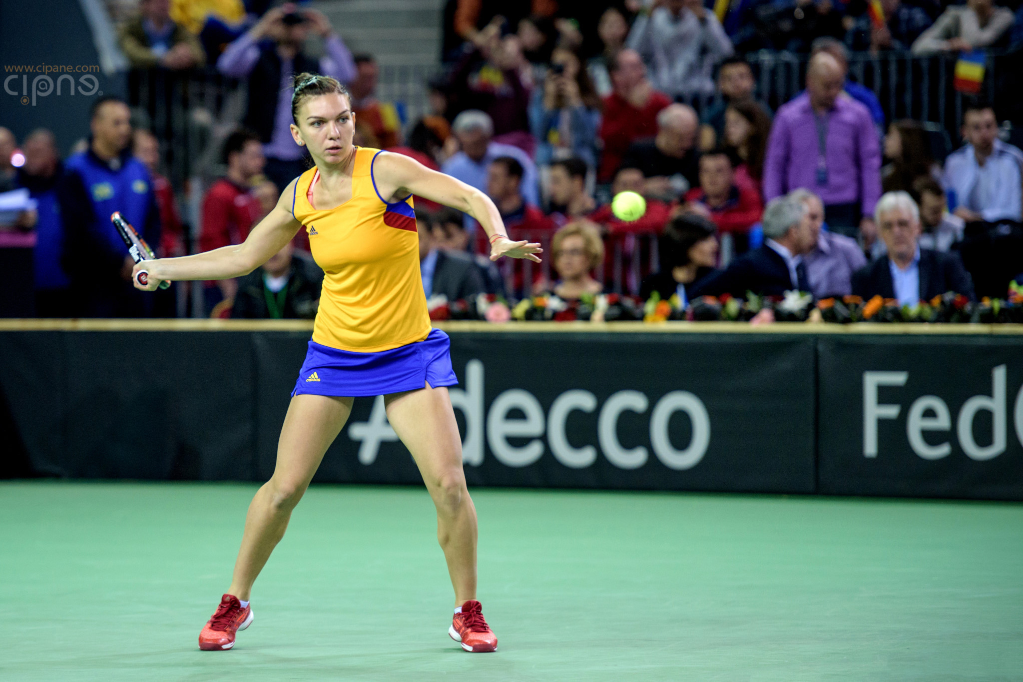 FedCup - România-Cehia - Simona Halep vs. Karolina Pliskova - 6 februarie 2016 - Sala Polivalentă, Cluj-Napoca