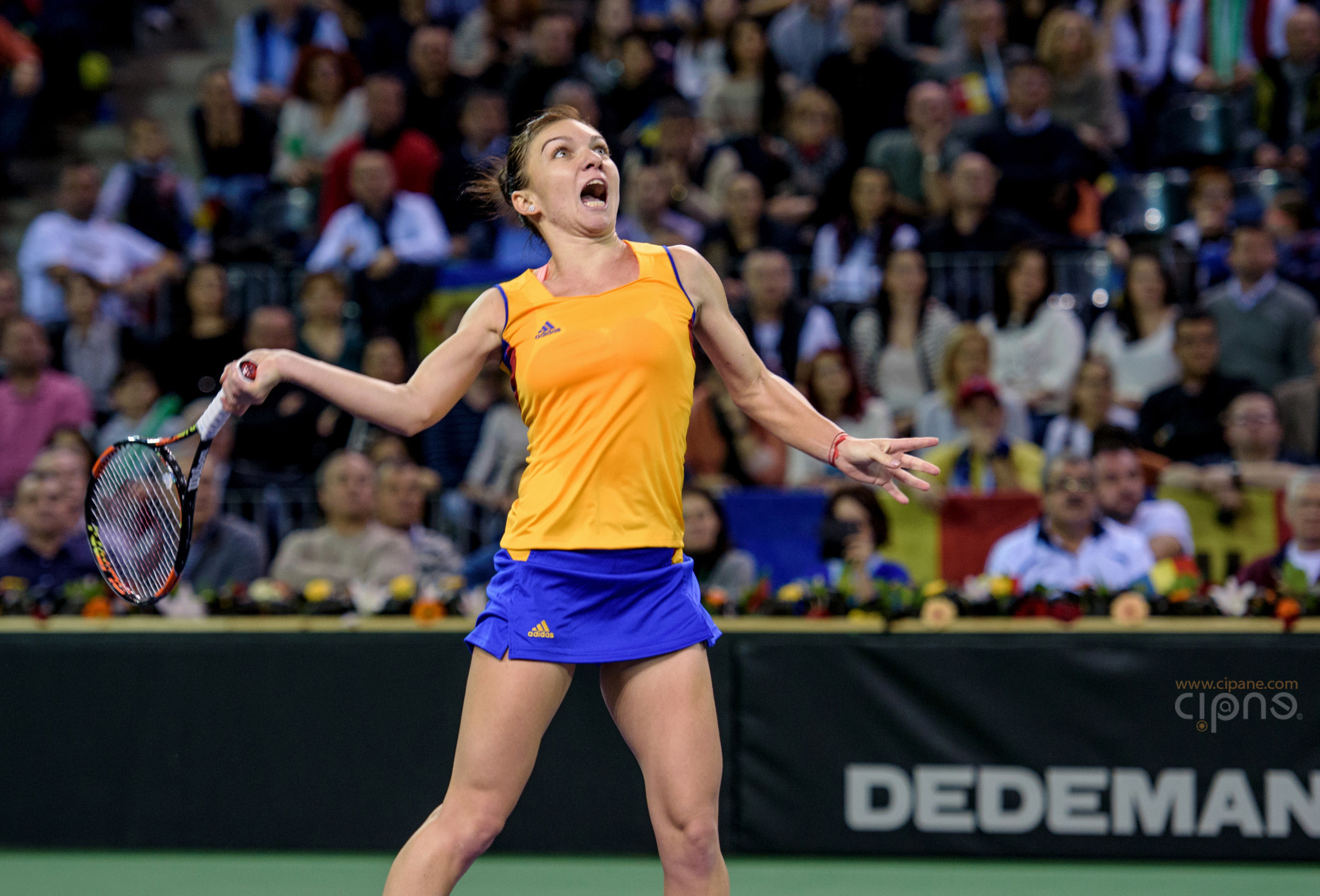 FedCup - România-Cehia - Simona Halep vs. Karolina Pliskova - 6 februarie 2016 - Sala Polivalentă, Cluj-Napoca