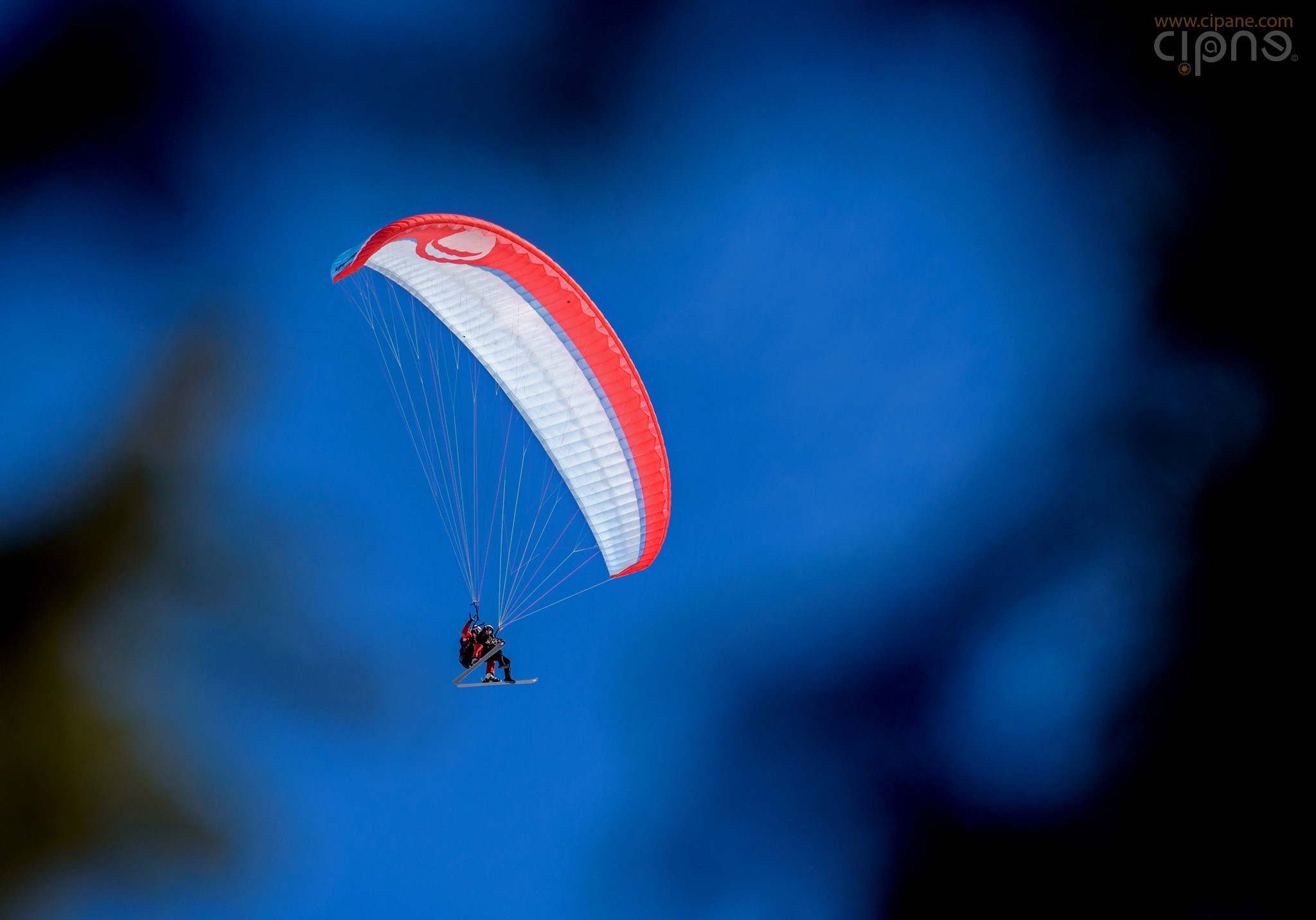 Learning To Fly