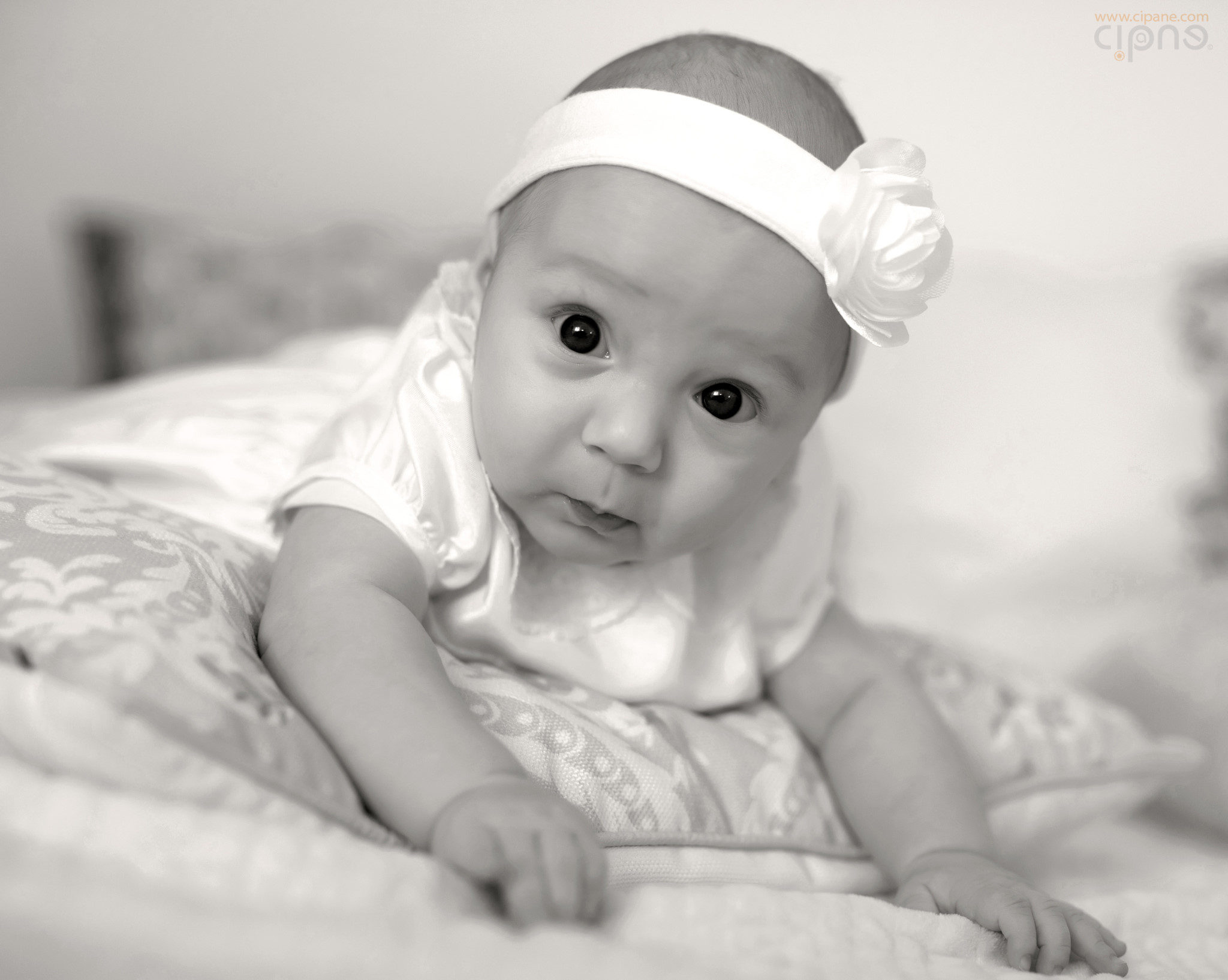 Ariana Ioana - 5 martie 2016 - București