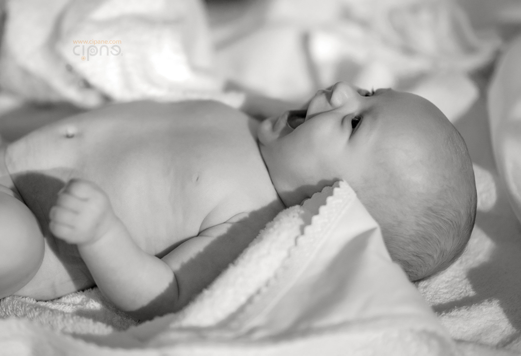 Ariana Ioana - 5 martie 2016 - București