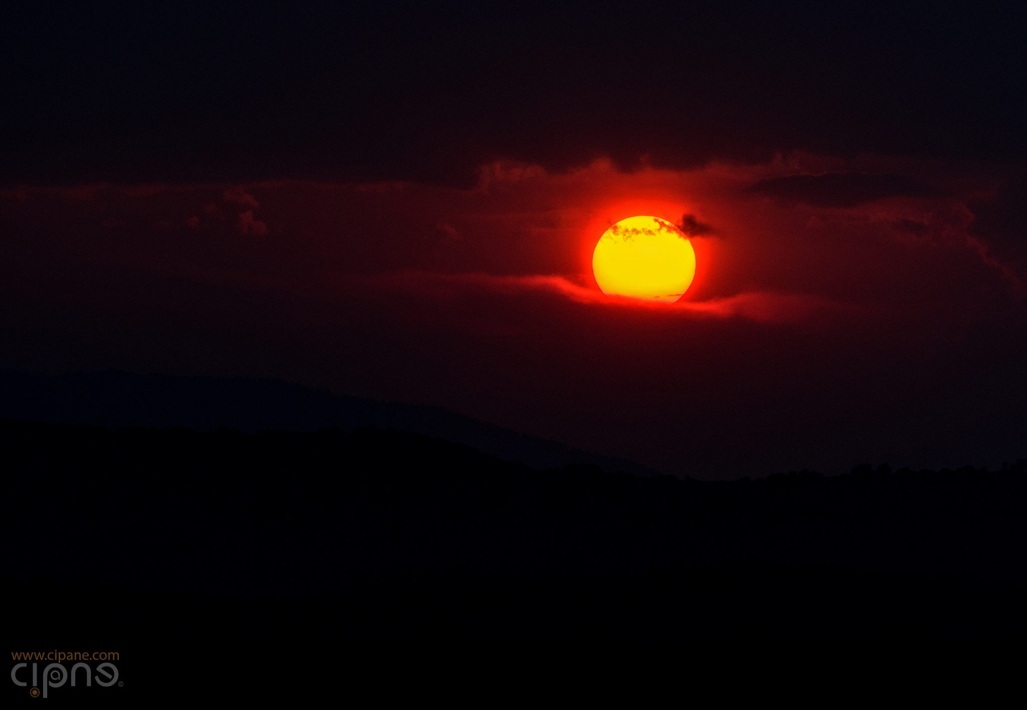 Sunscape