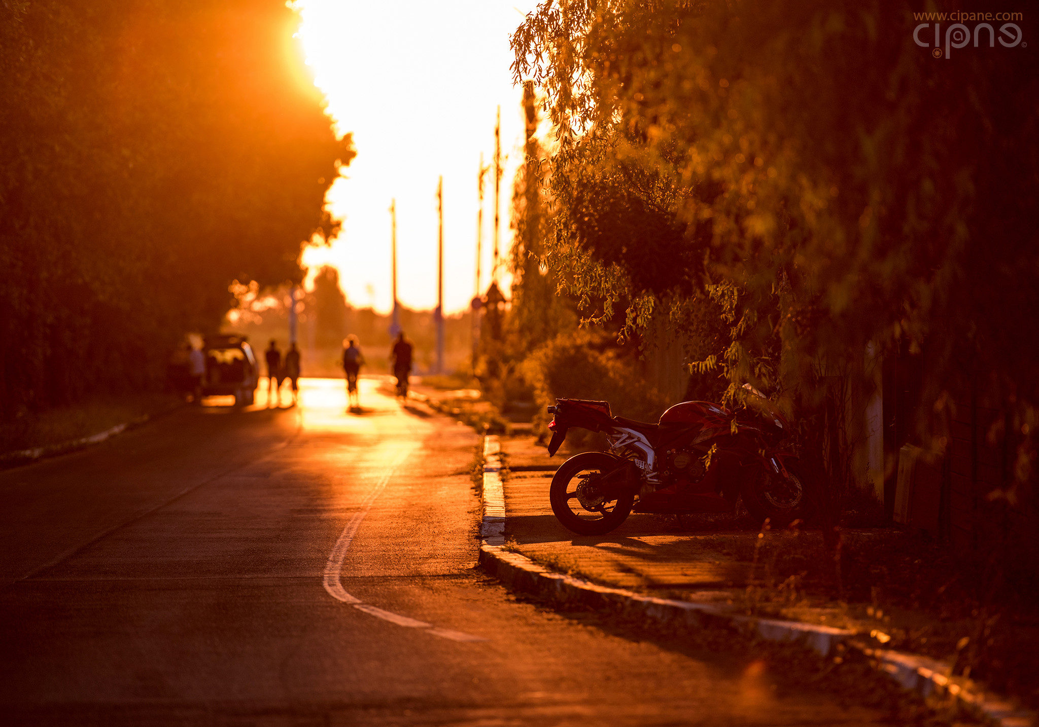 The Veil of Golden Spheres