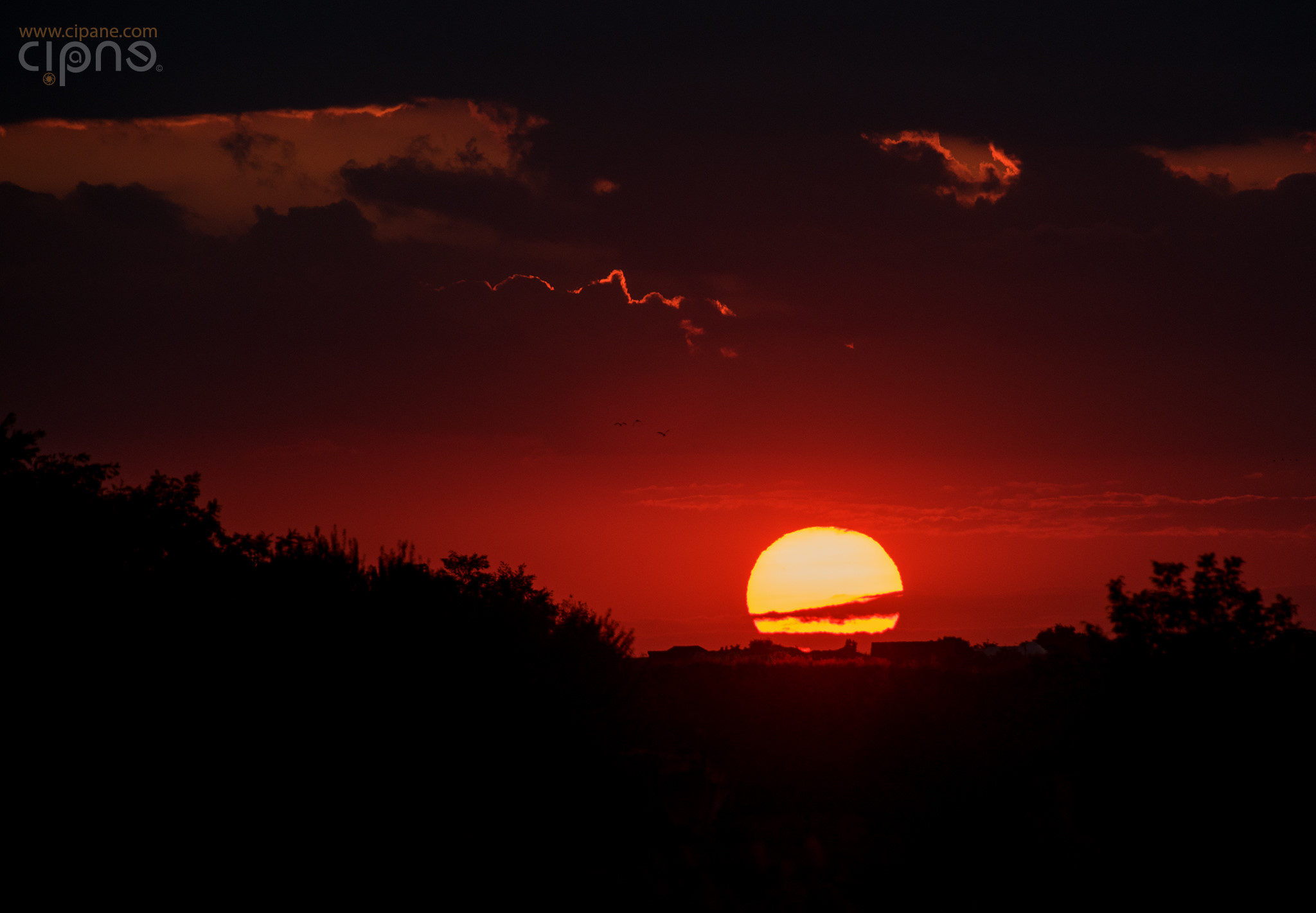 Burn the Sun