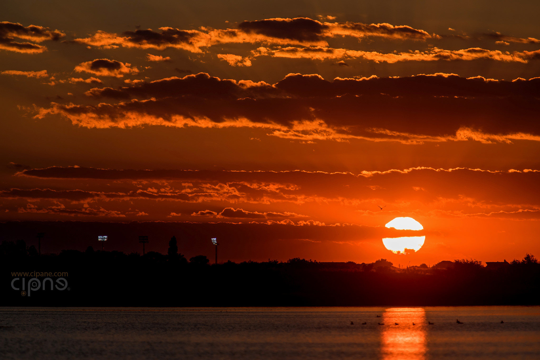 Sunwaves