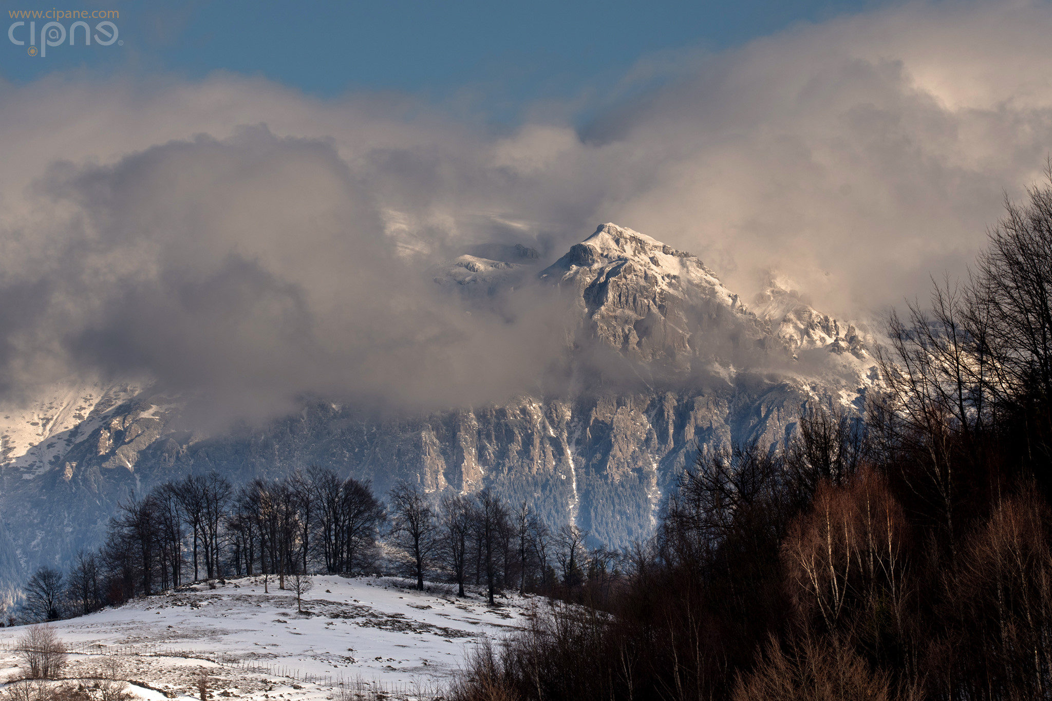 Cetățile Bucegiului
