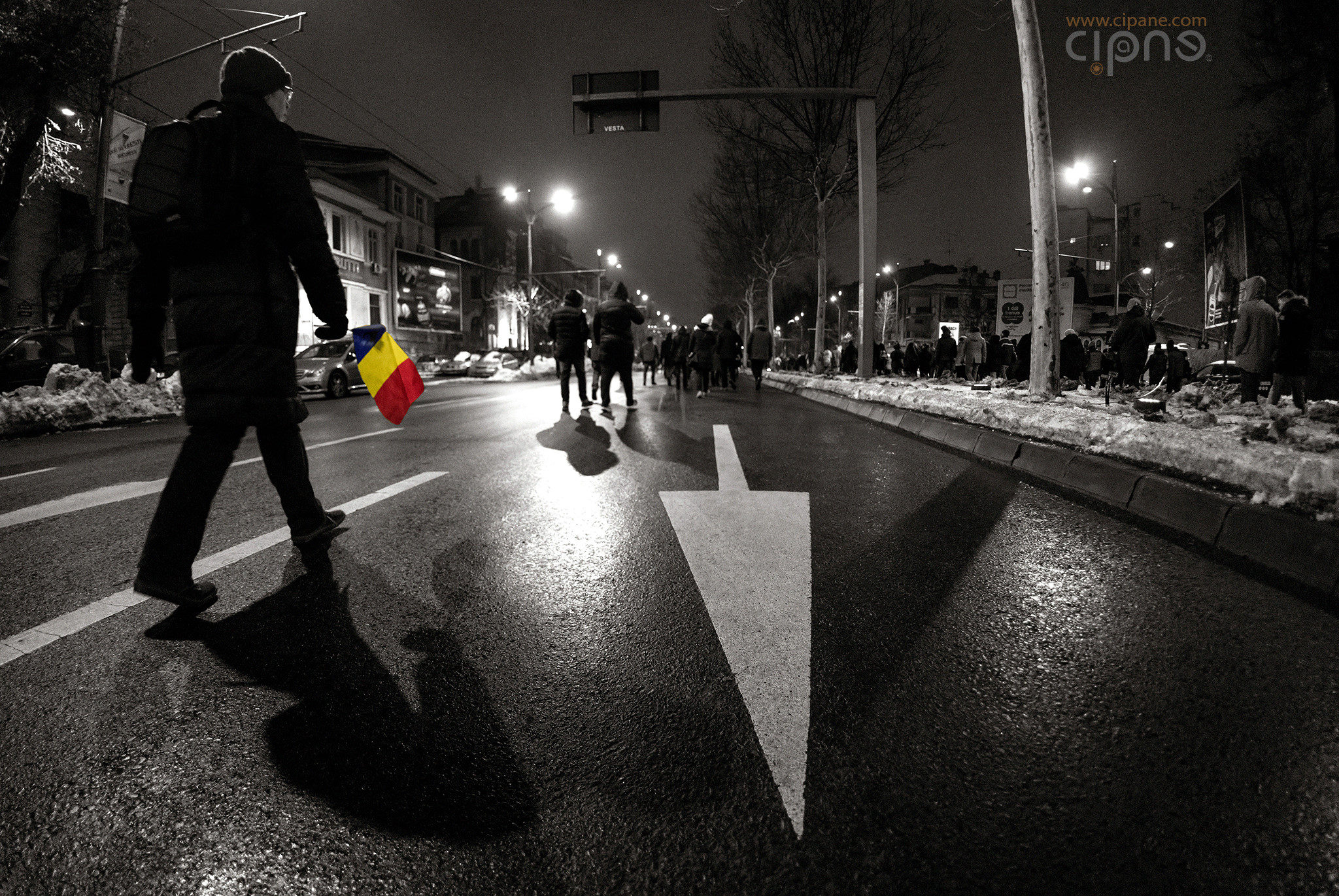 29 ianuarie 2017 - București