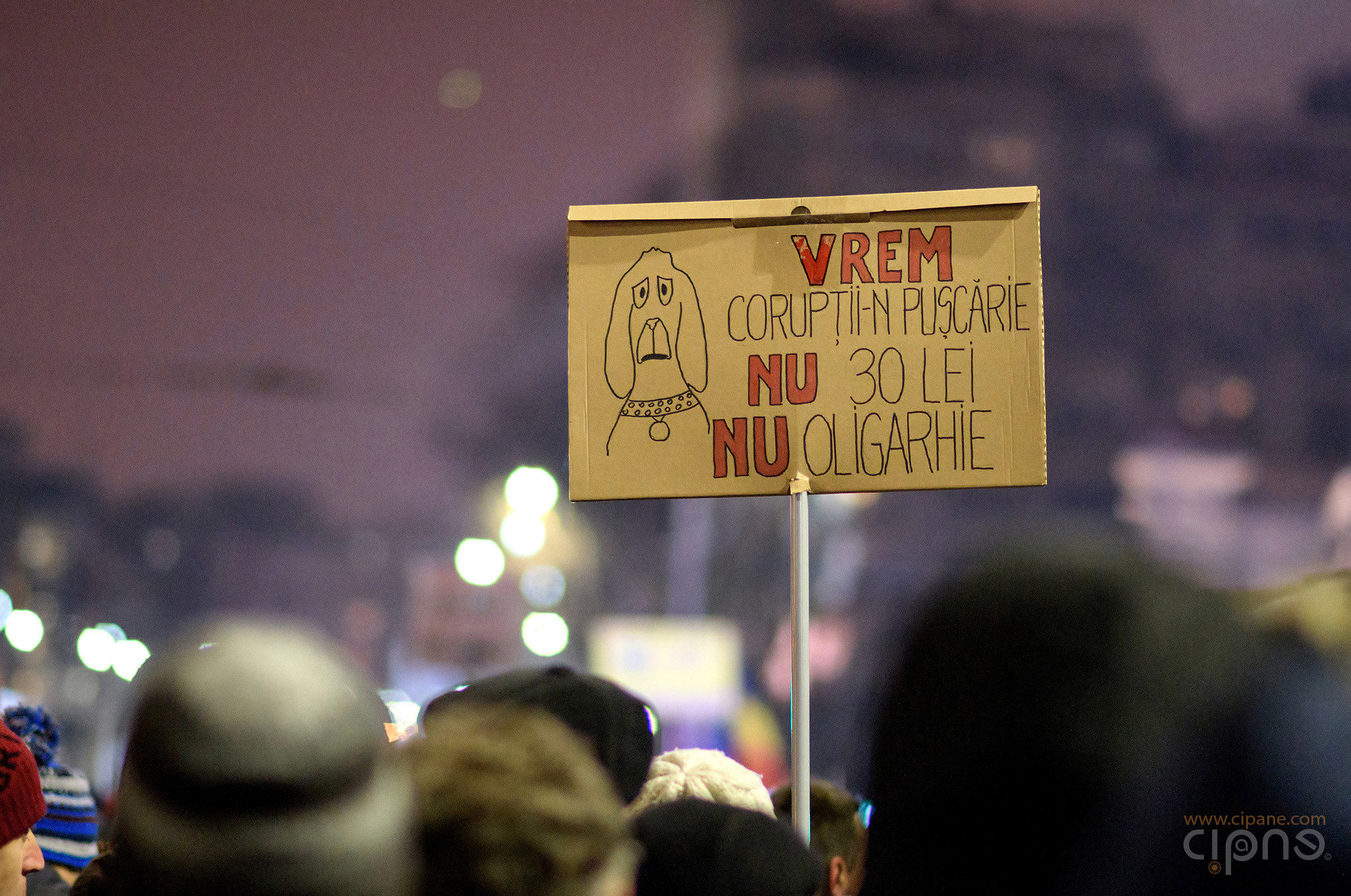 29 ianuarie 2017 - București