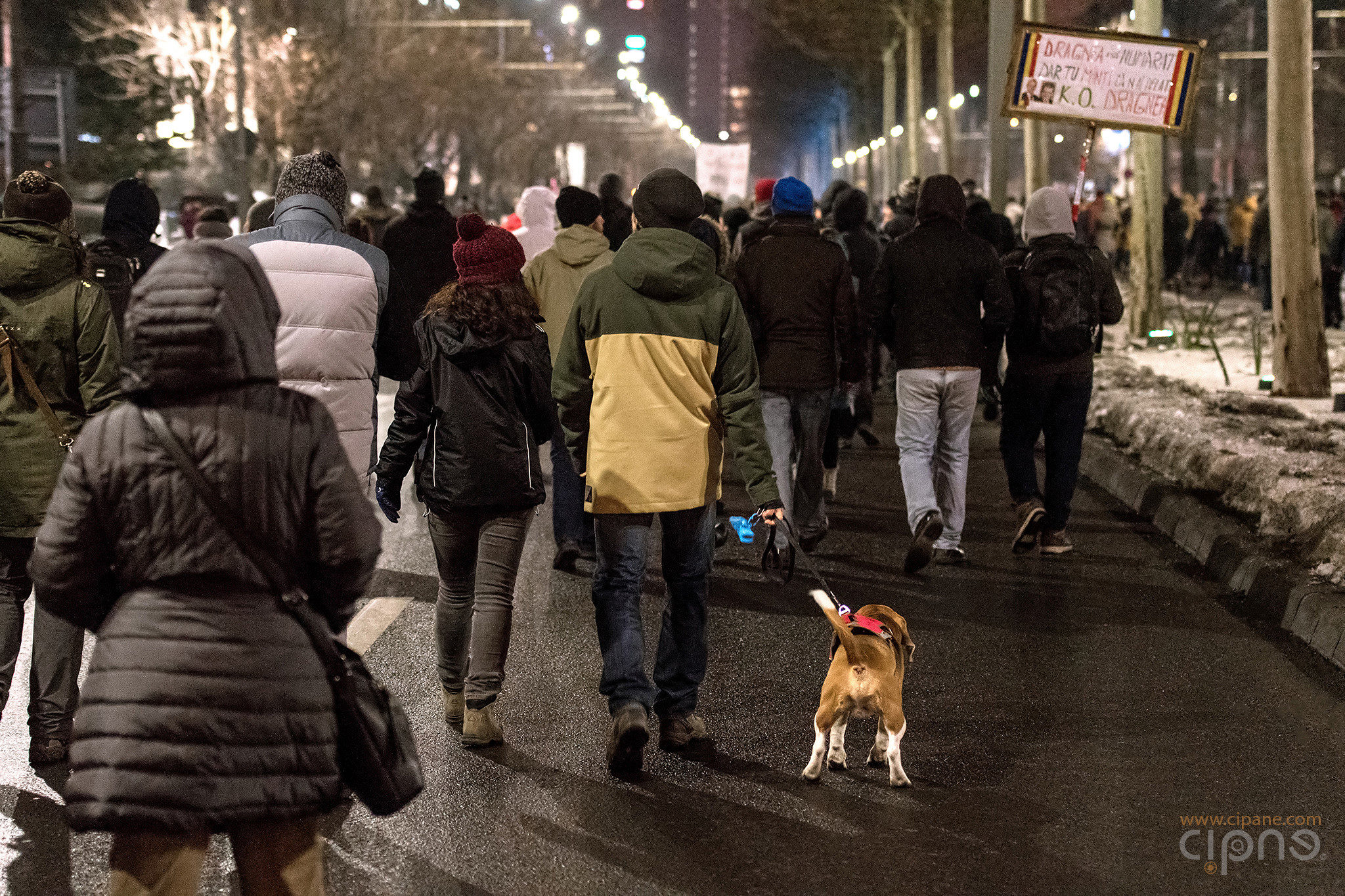 29 ianuarie 2017 - București