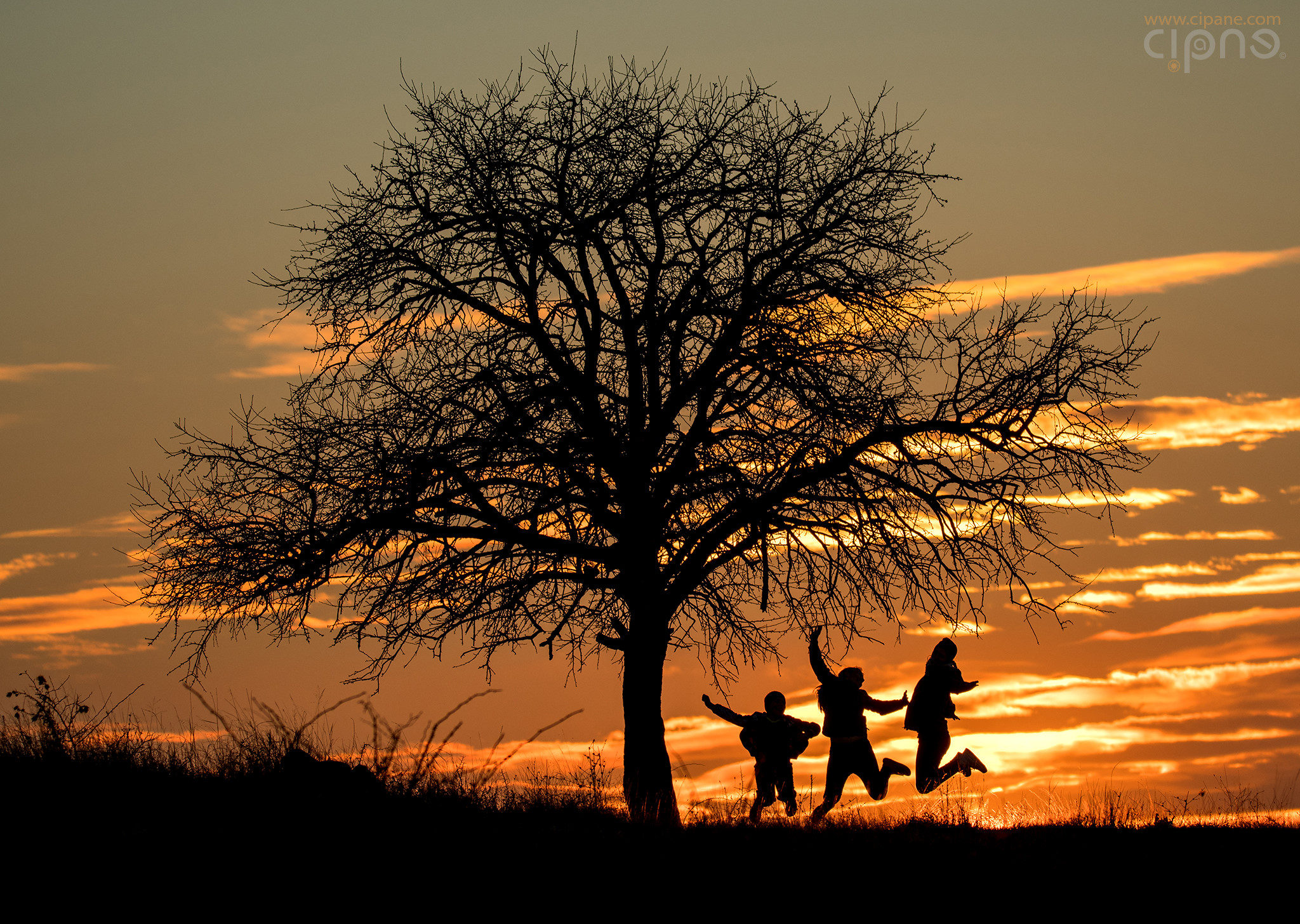 The Joy of Sunset