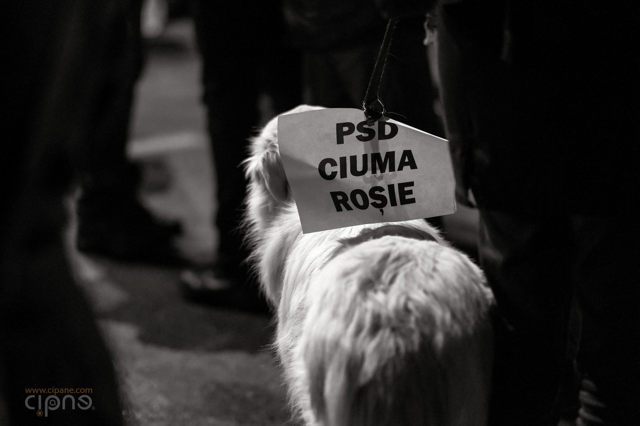 1 februarie 2017 - București