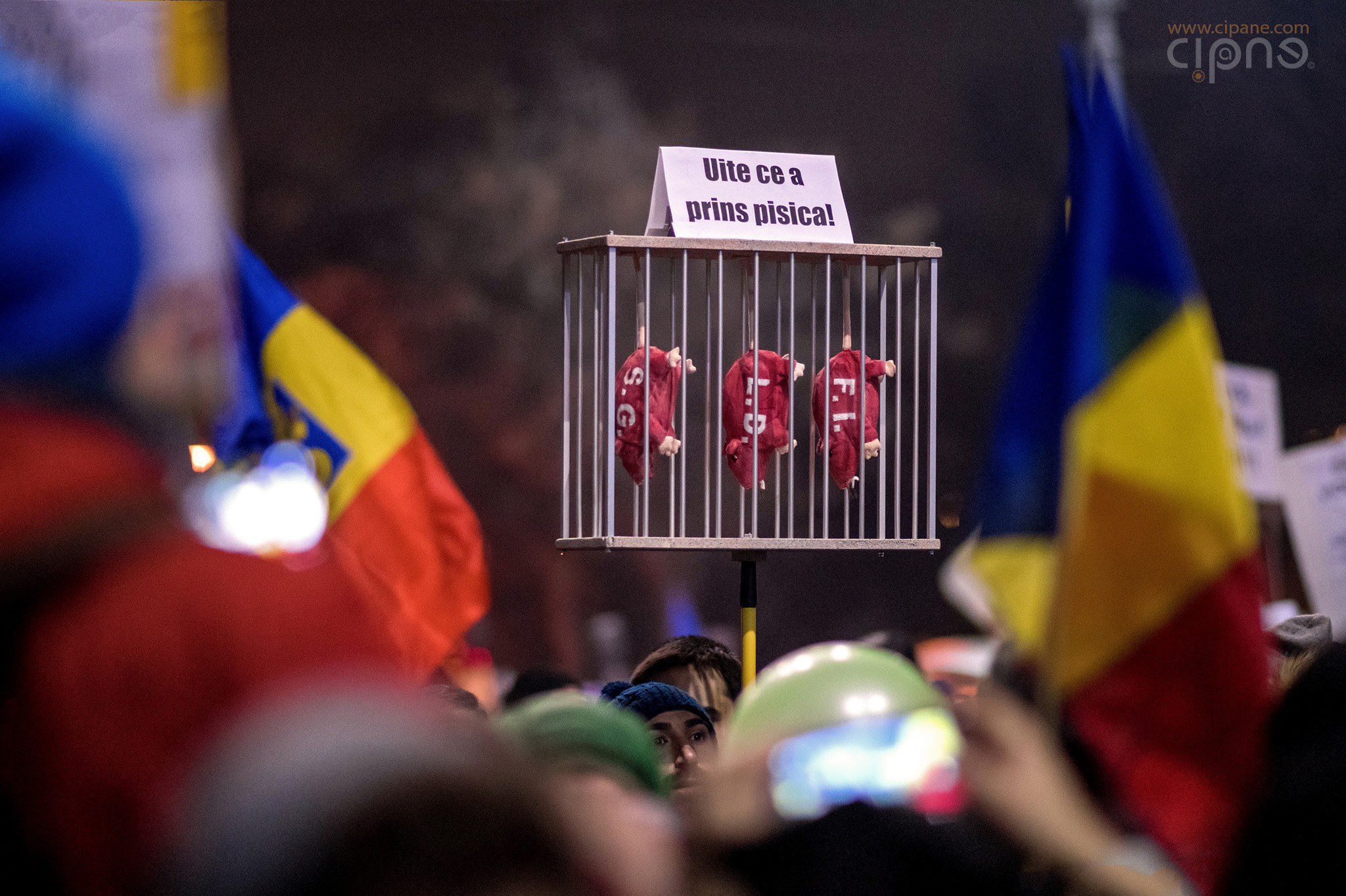 5 februarie 2017 - București