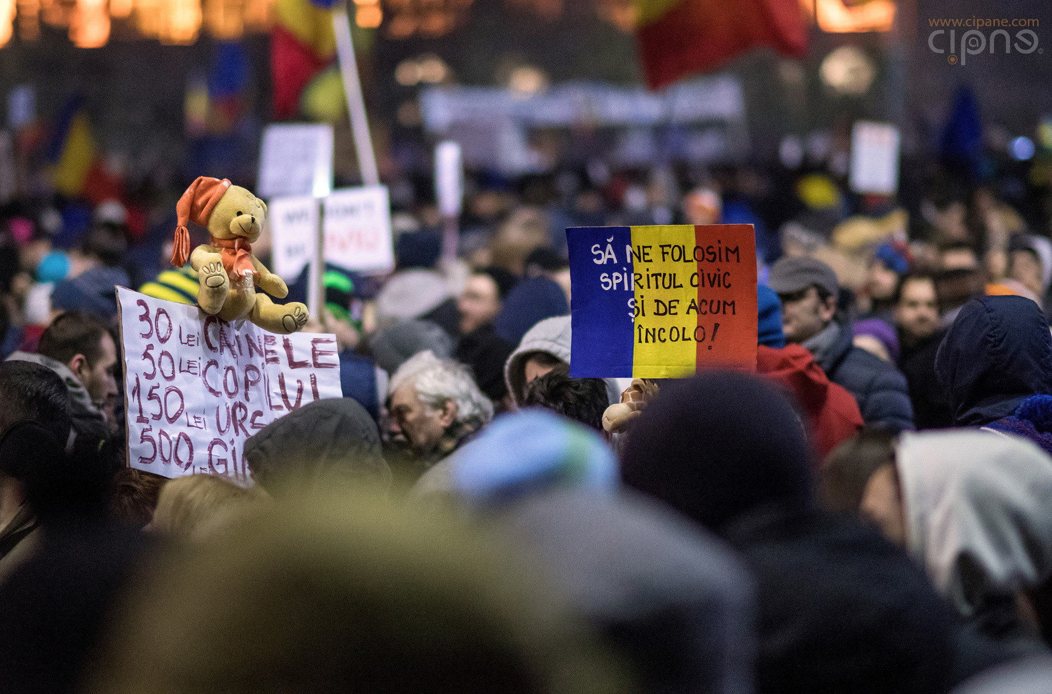 5 februarie 2017 - București