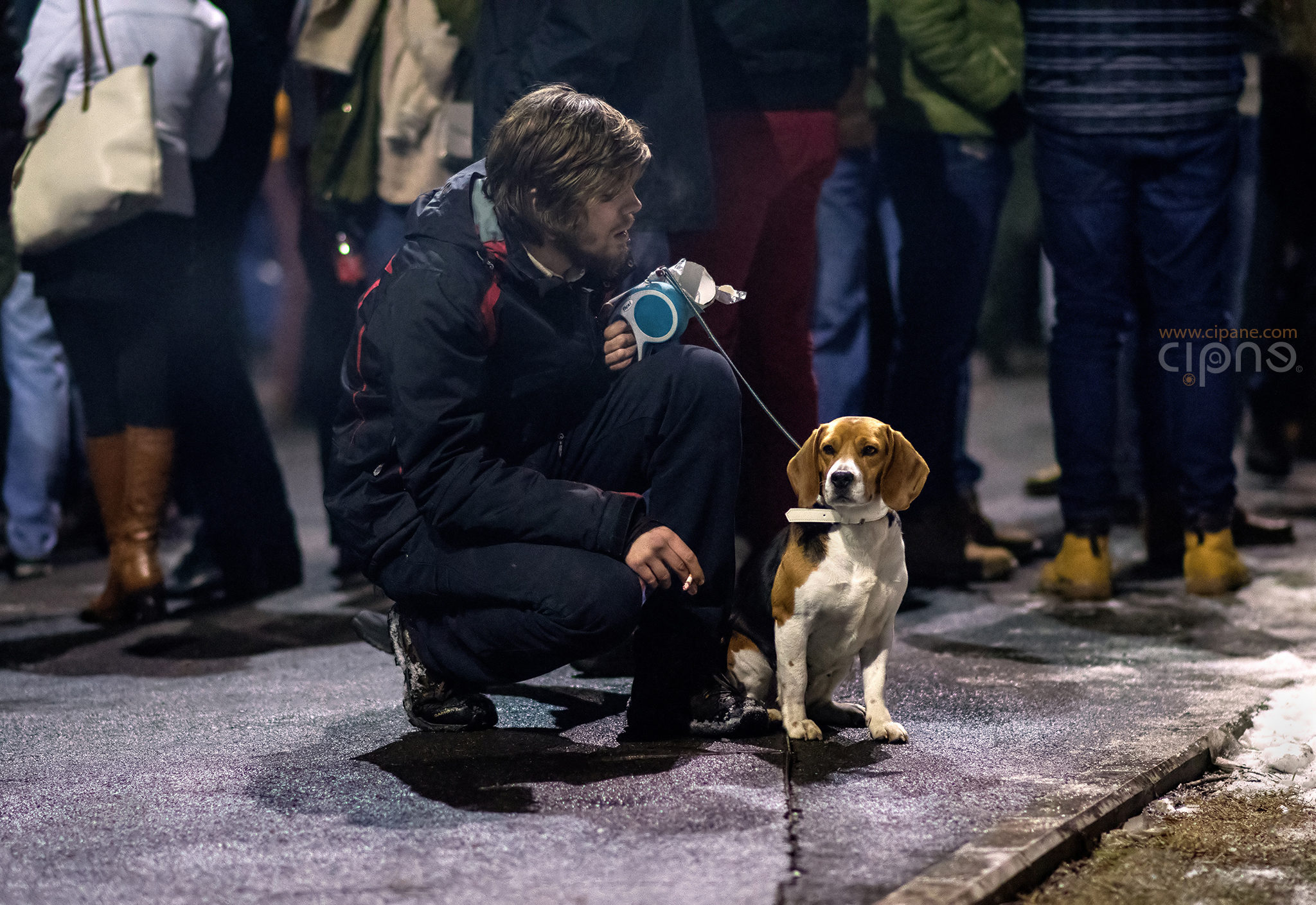 31 ianuarie 2017 - București