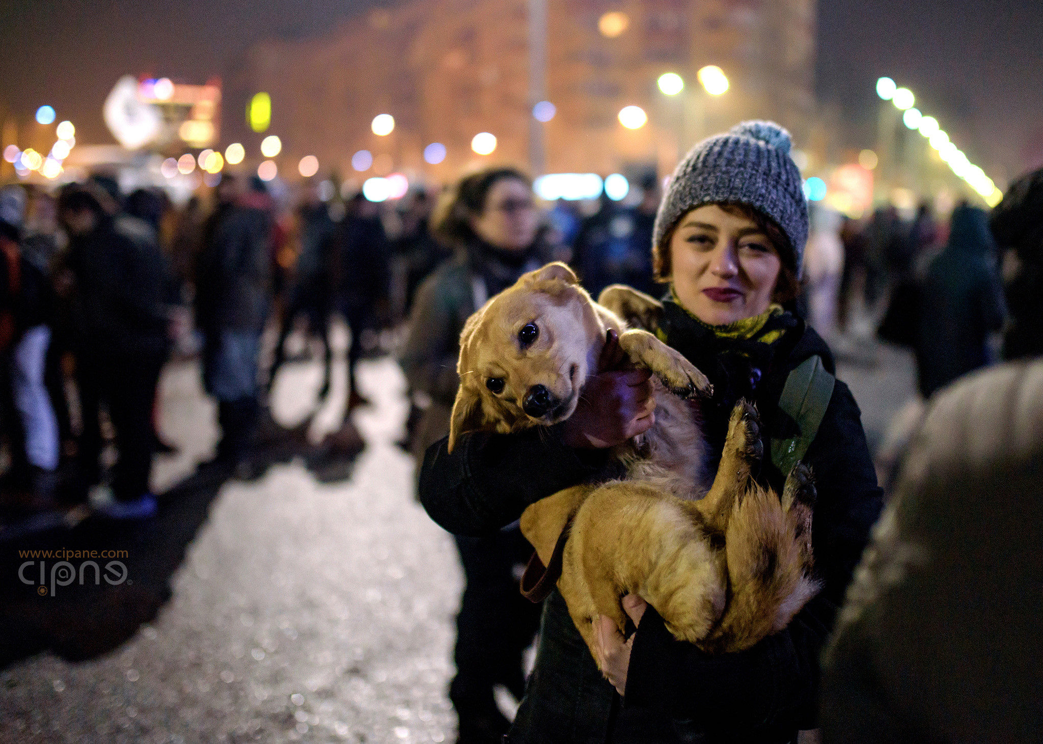 2 februarie 2017 - București