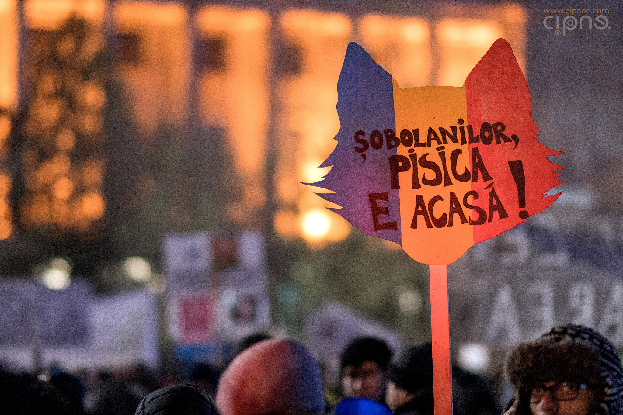 3 februarie 2017 - București